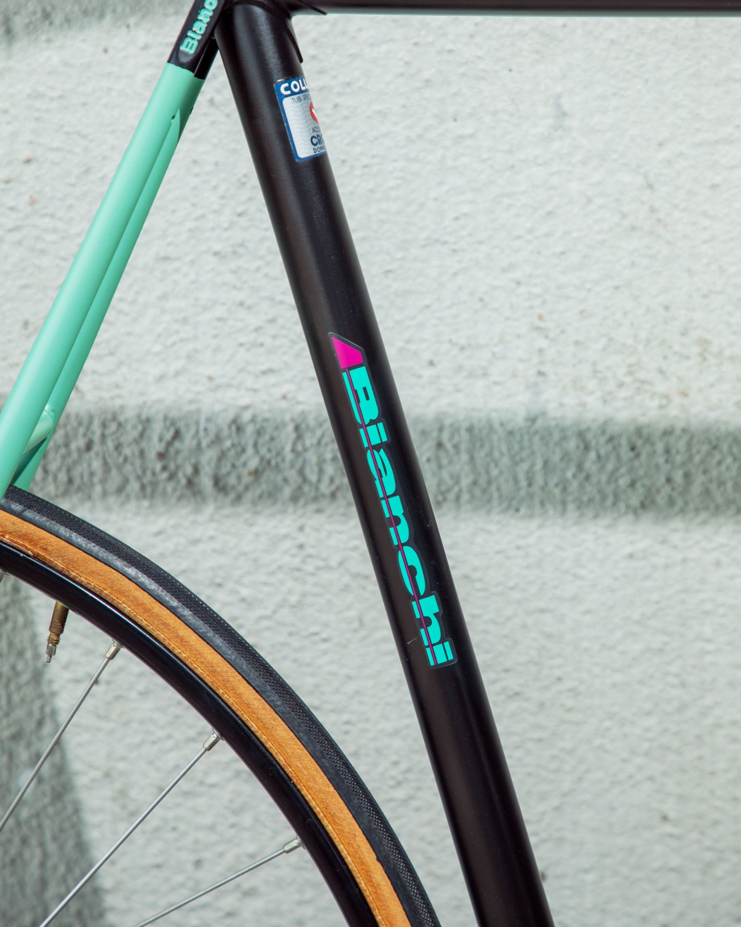Bianchi Pista