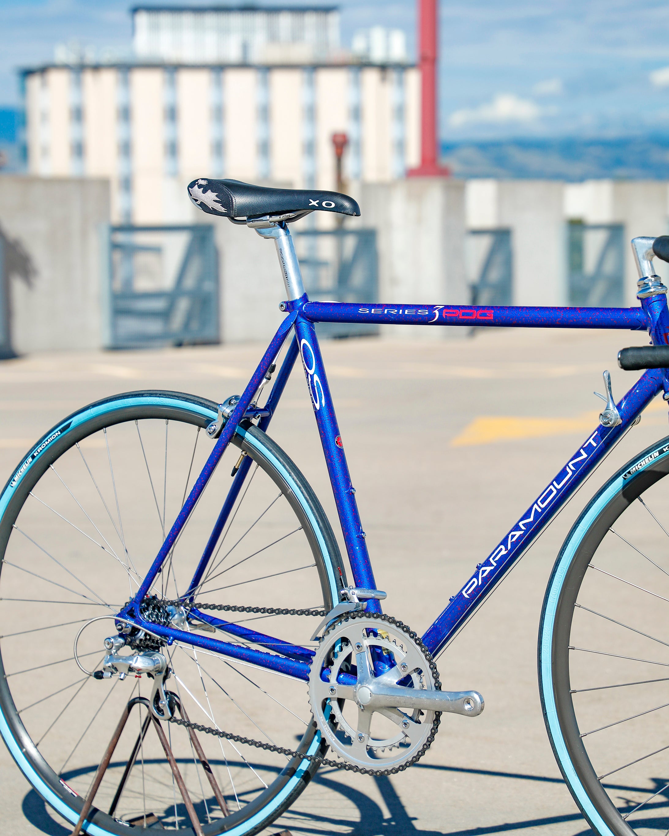 Schwinn フレームパッド3点セットフレーク ゴールド