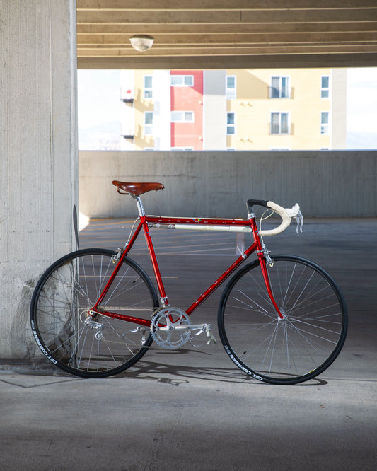 1989 Schwinn Paramount