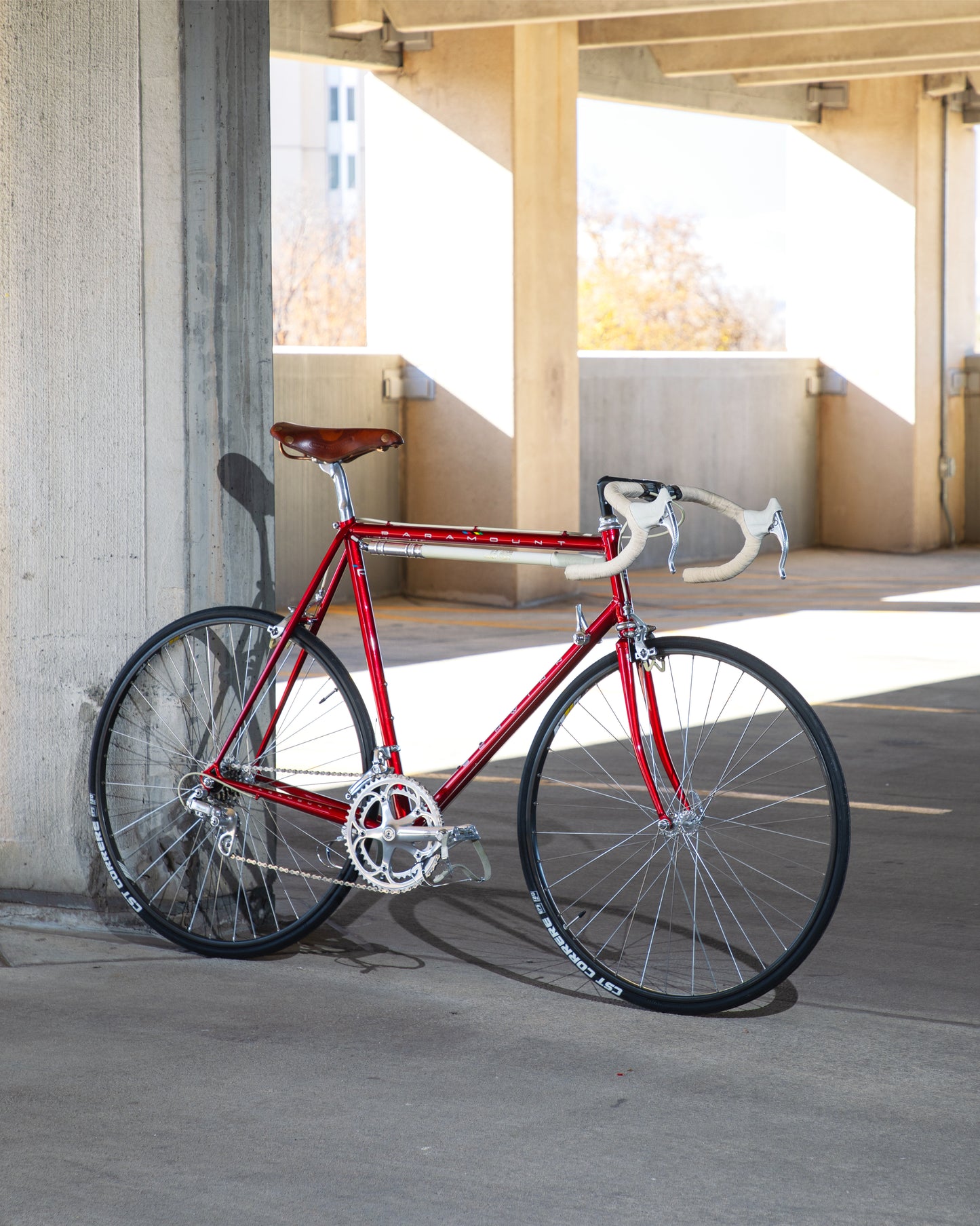 1989 Schwinn Paramount