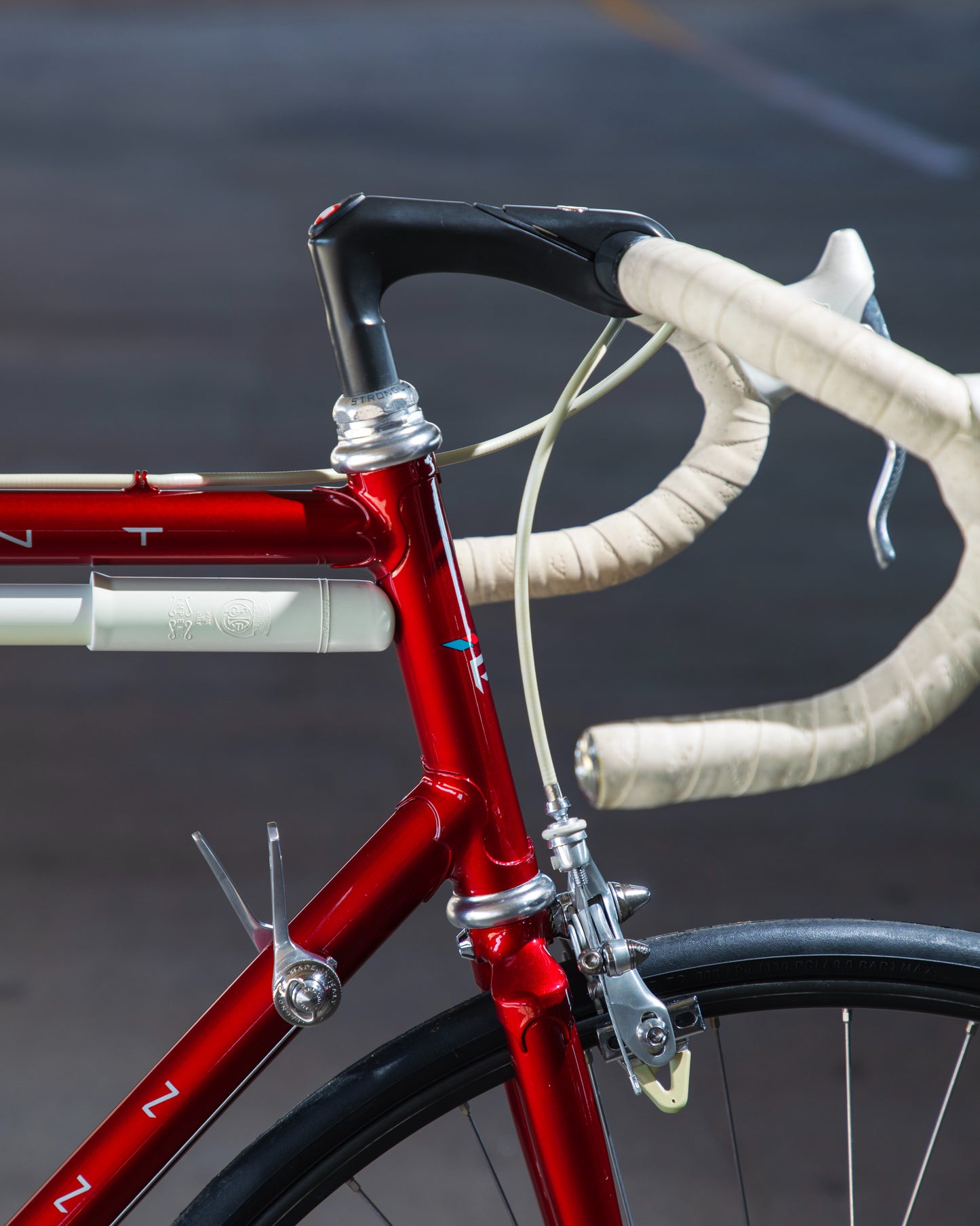 1989 Schwinn Paramount