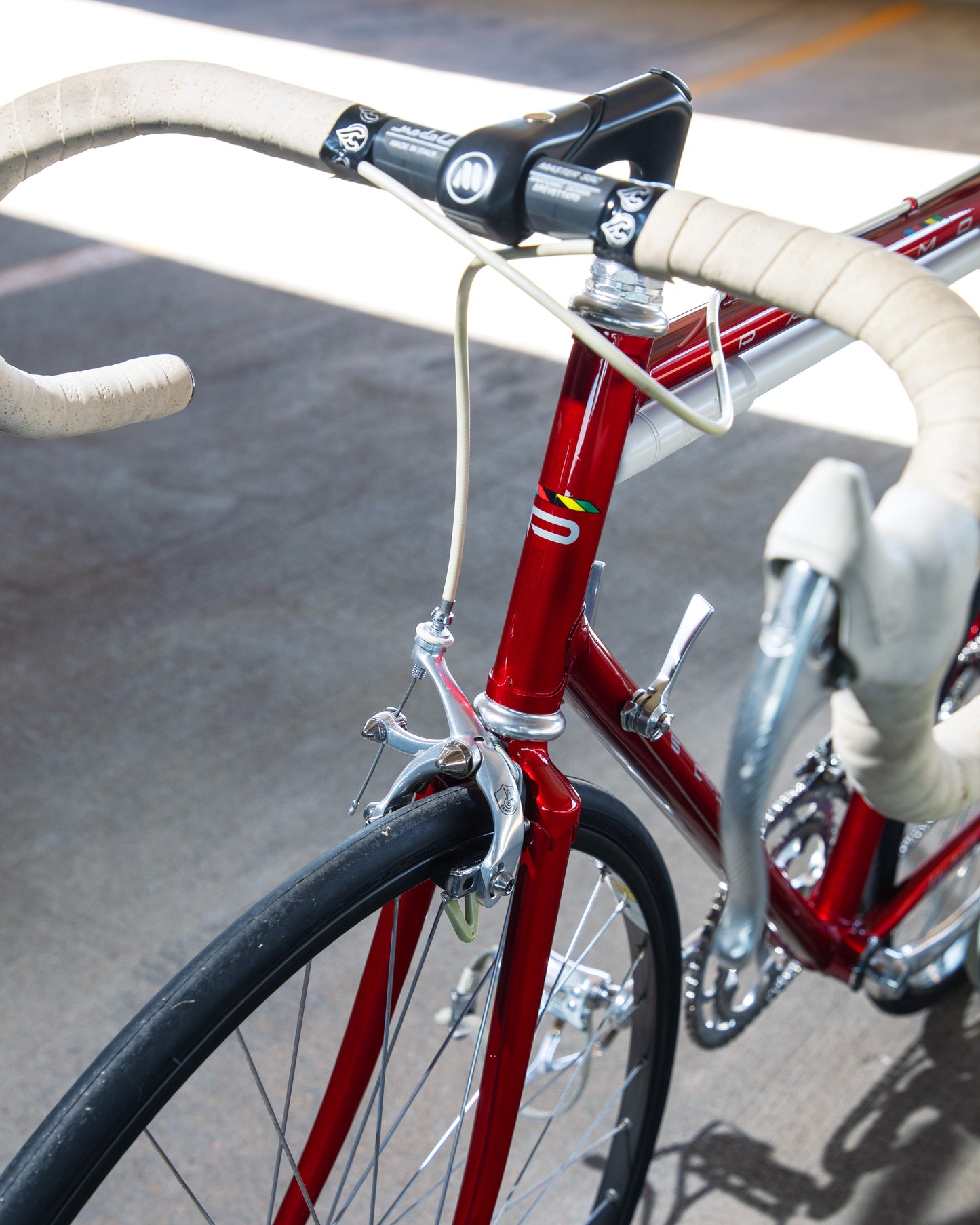 1989 Schwinn Paramount