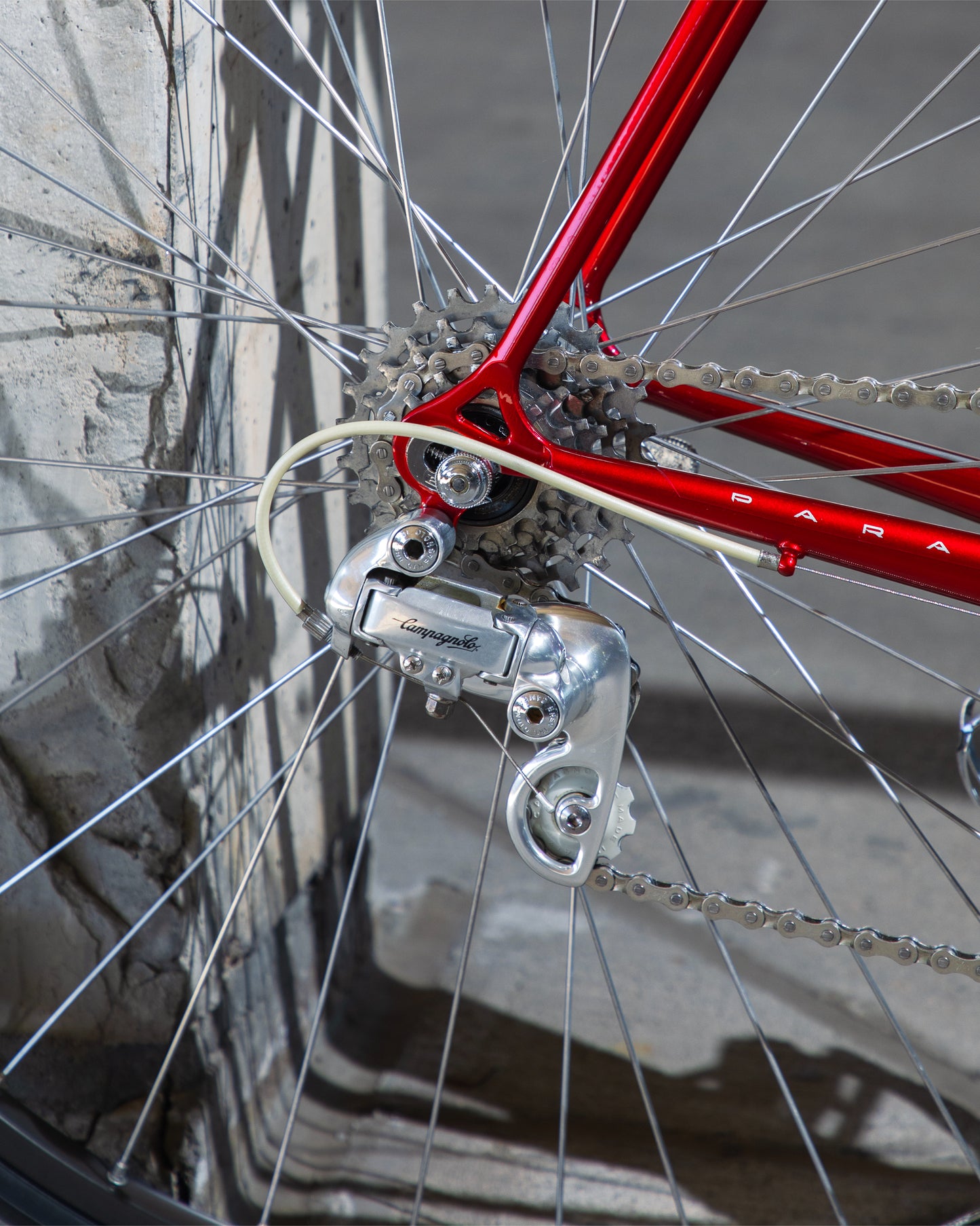 1989 Schwinn Paramount