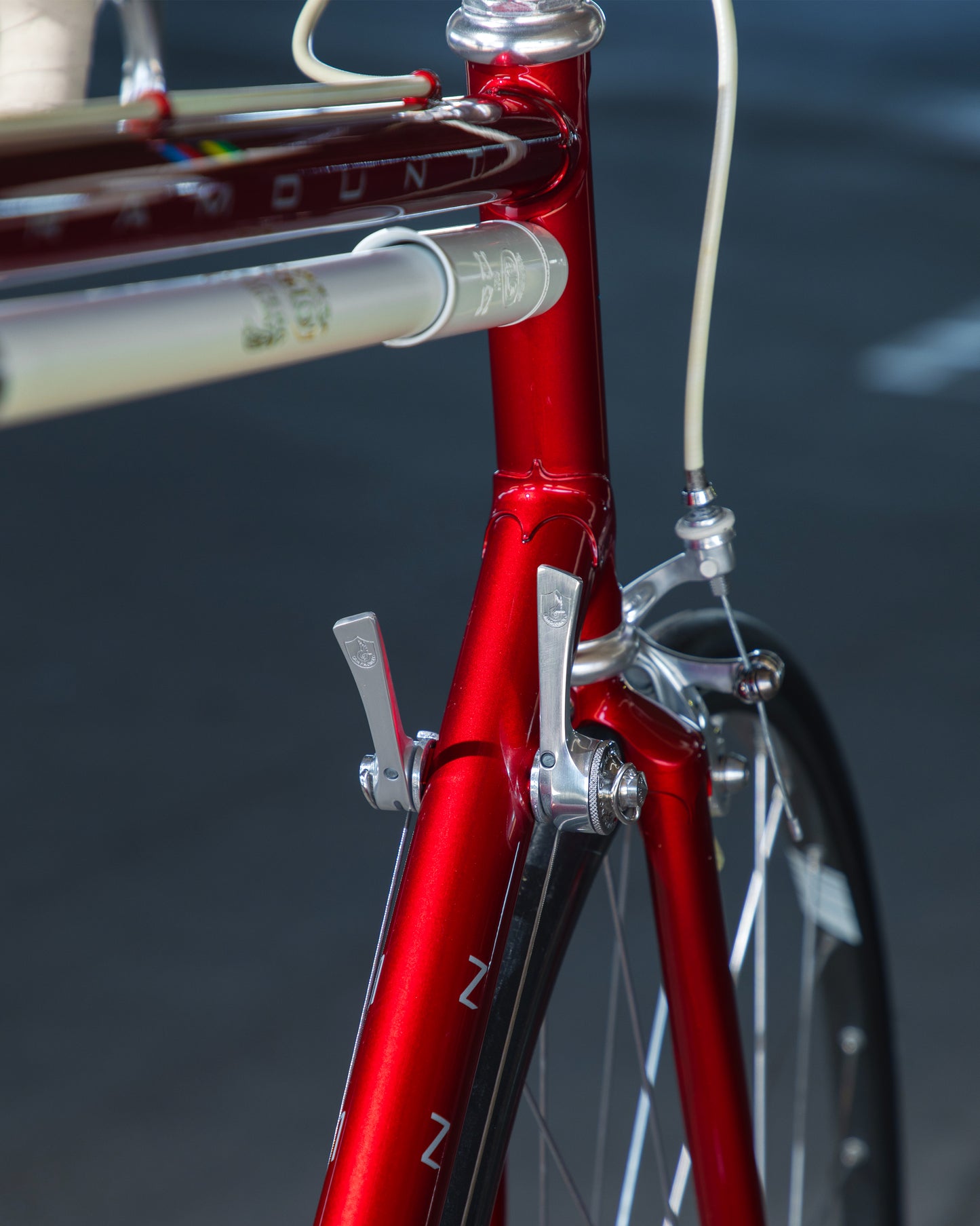 1989 Schwinn Paramount