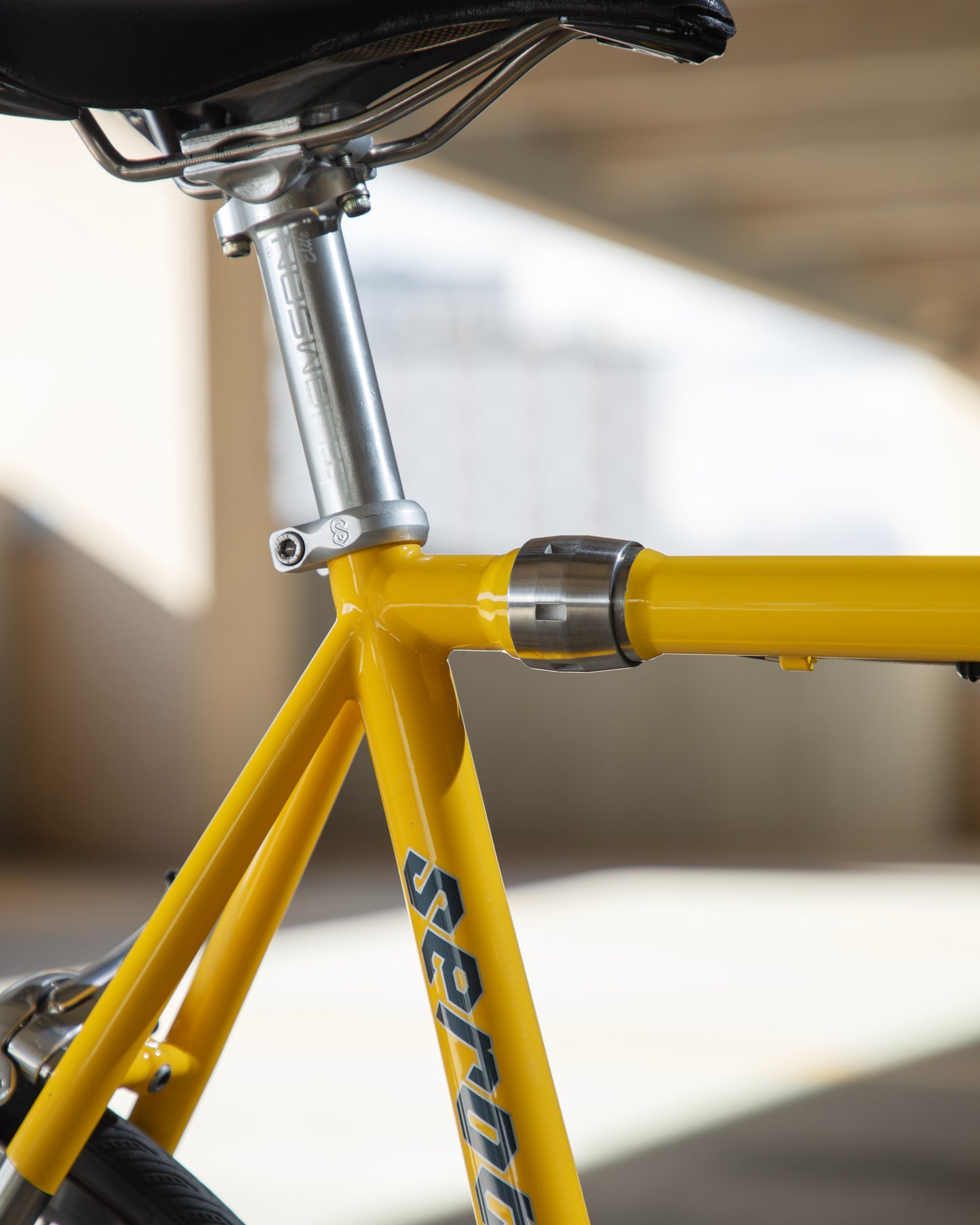 Serotta Legend Ti with S&S Couplers