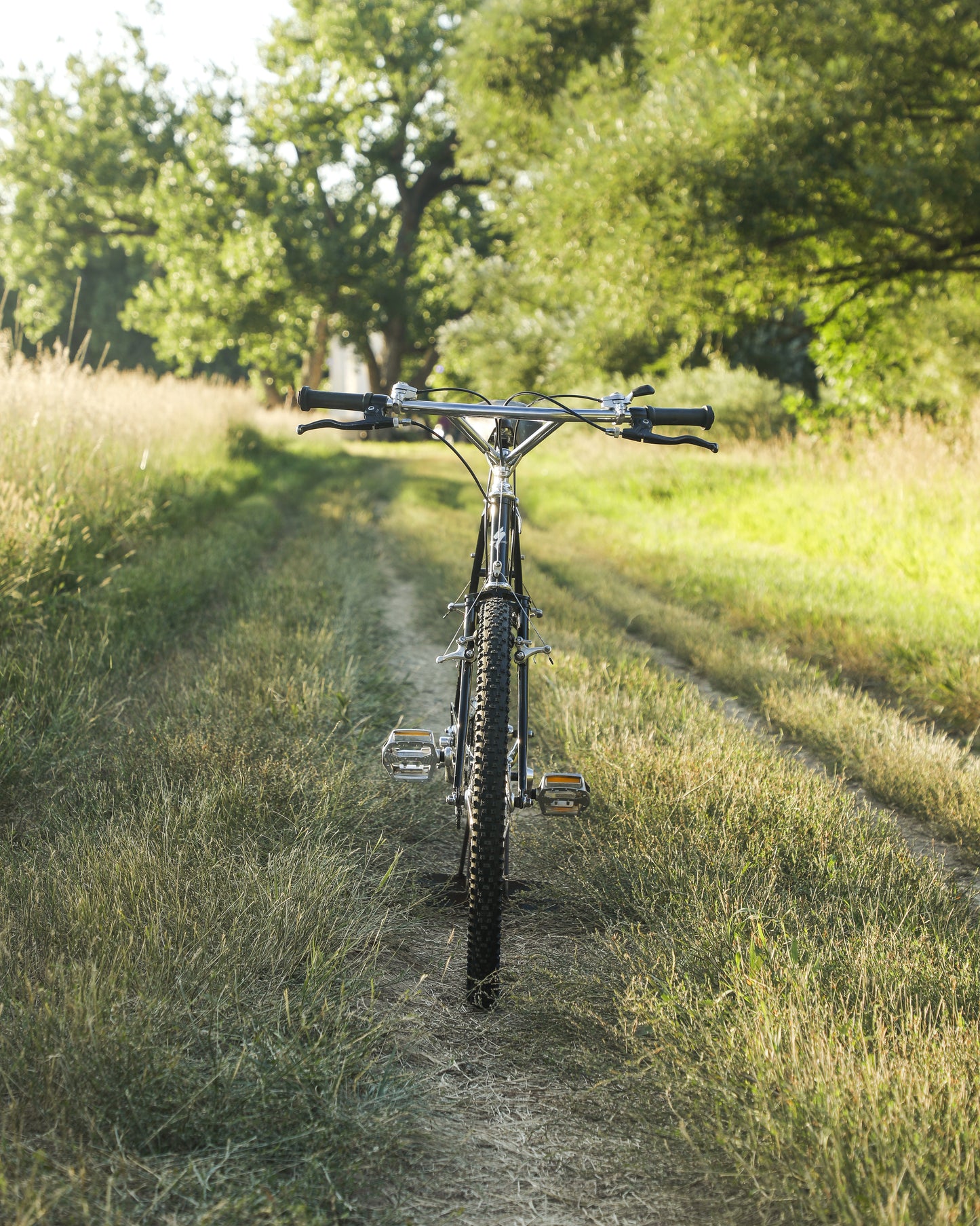 Specialized Stumpjumper Sport XT