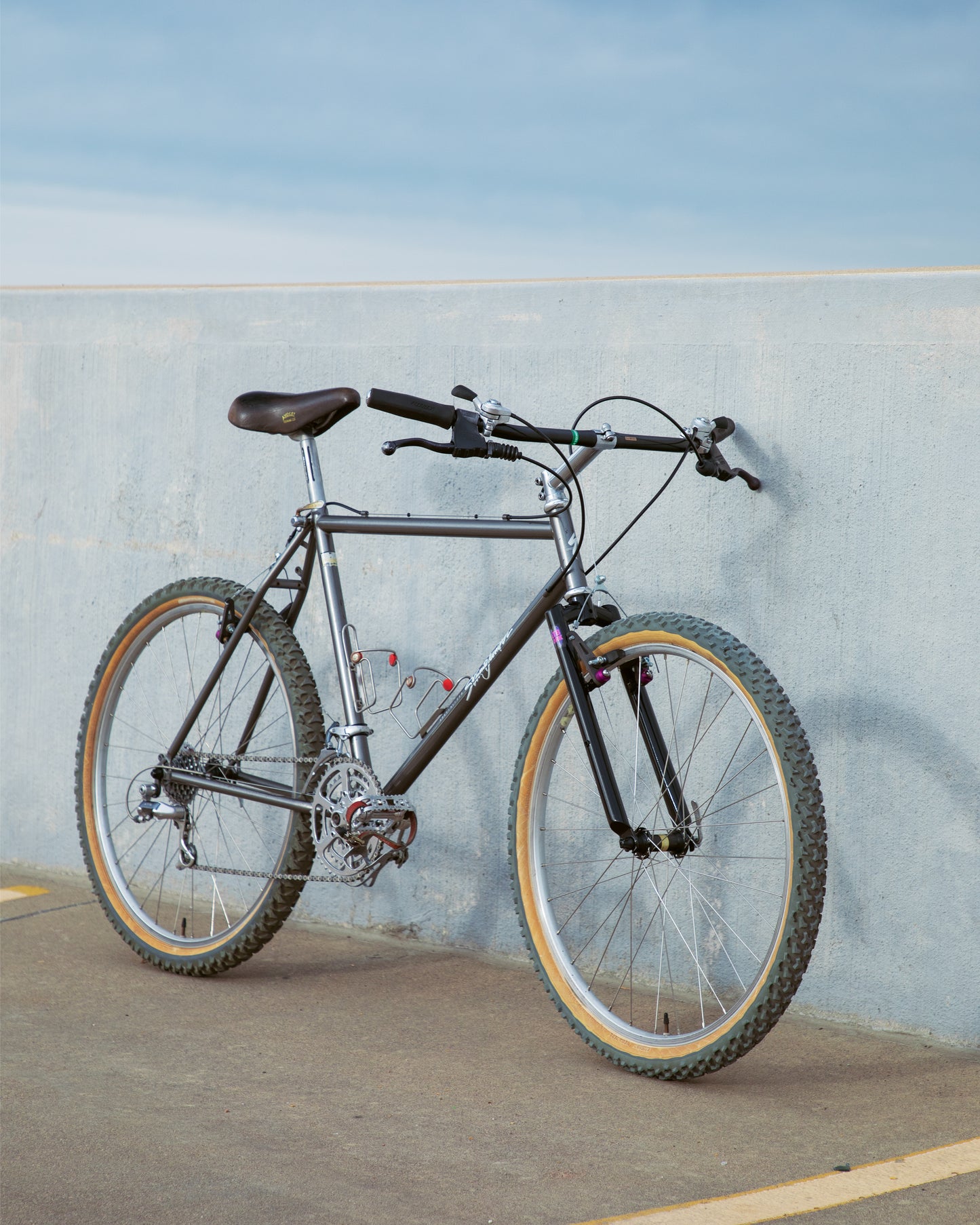 1982 Specialized Stumpjumper