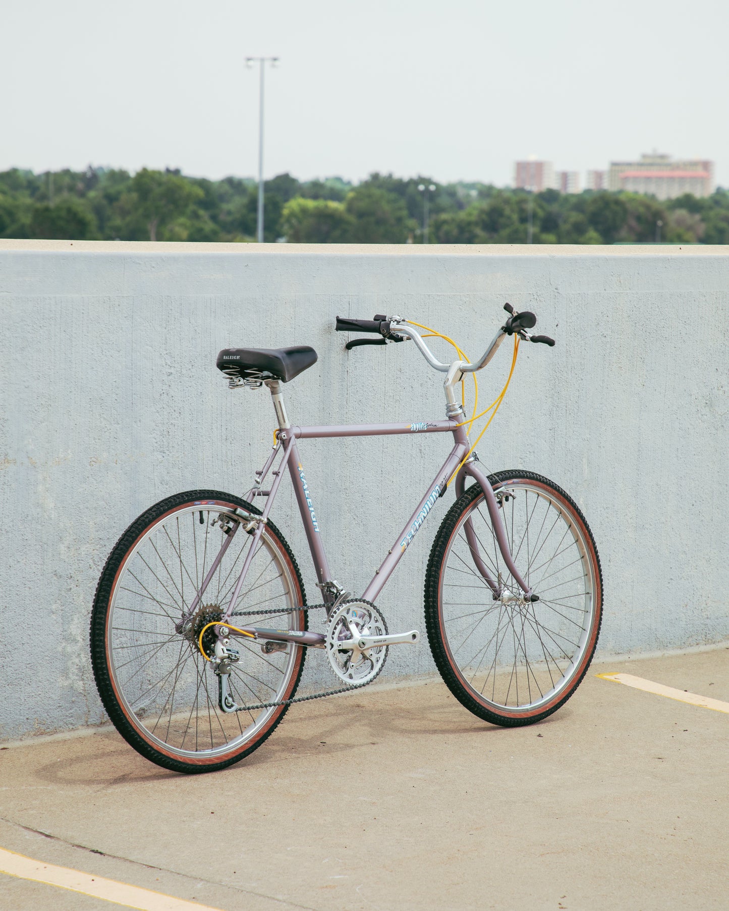 Raleigh Technium Sport