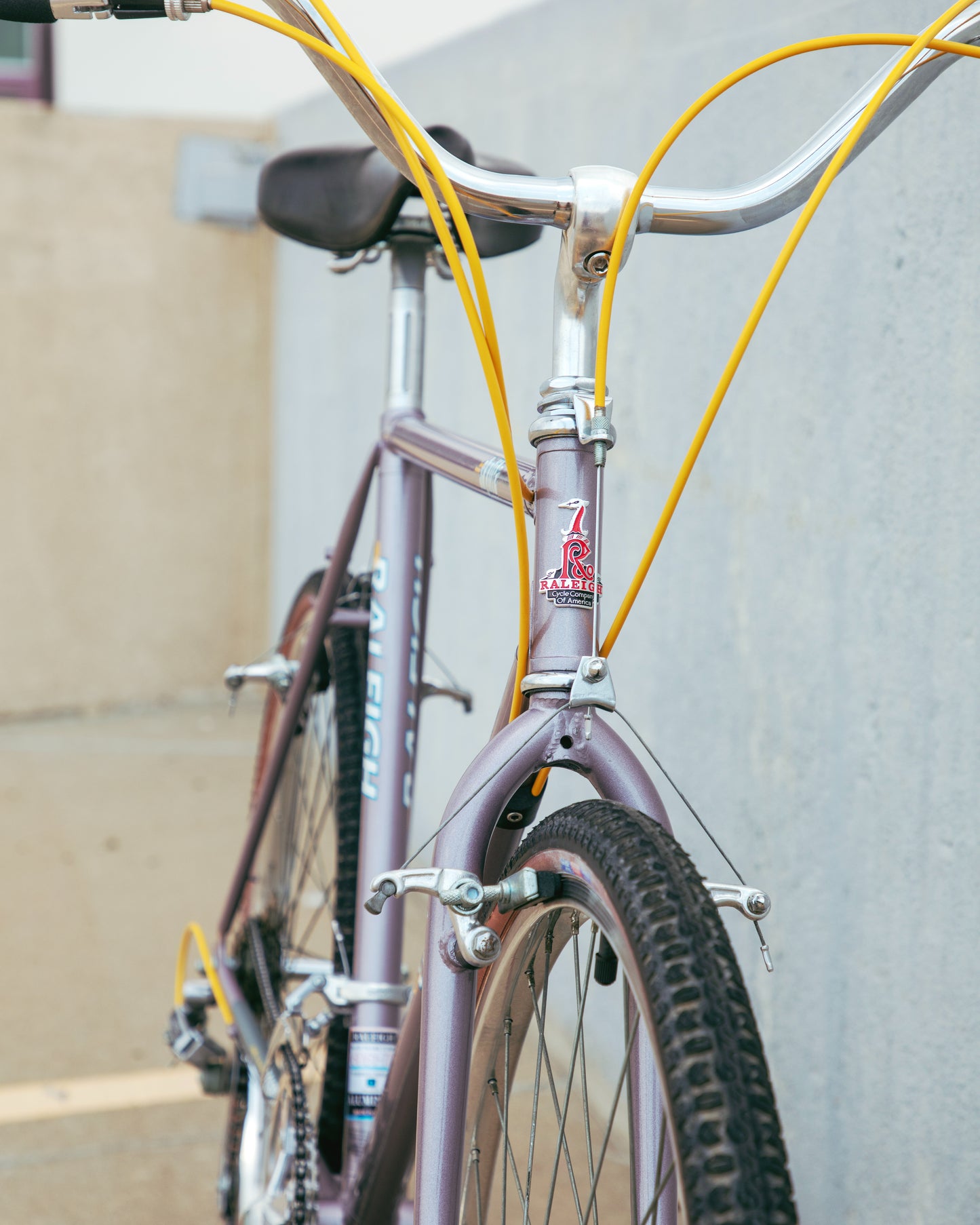 Raleigh Technium Sport