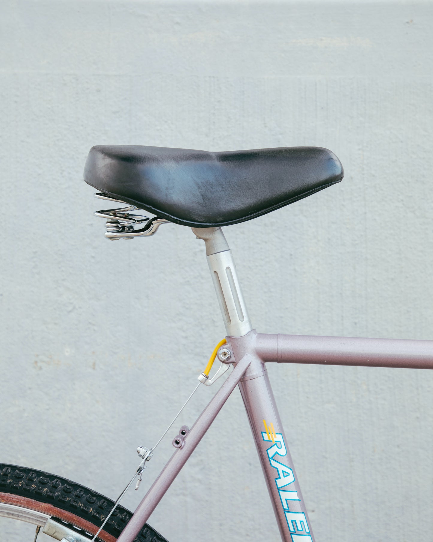 Raleigh Technium Sport