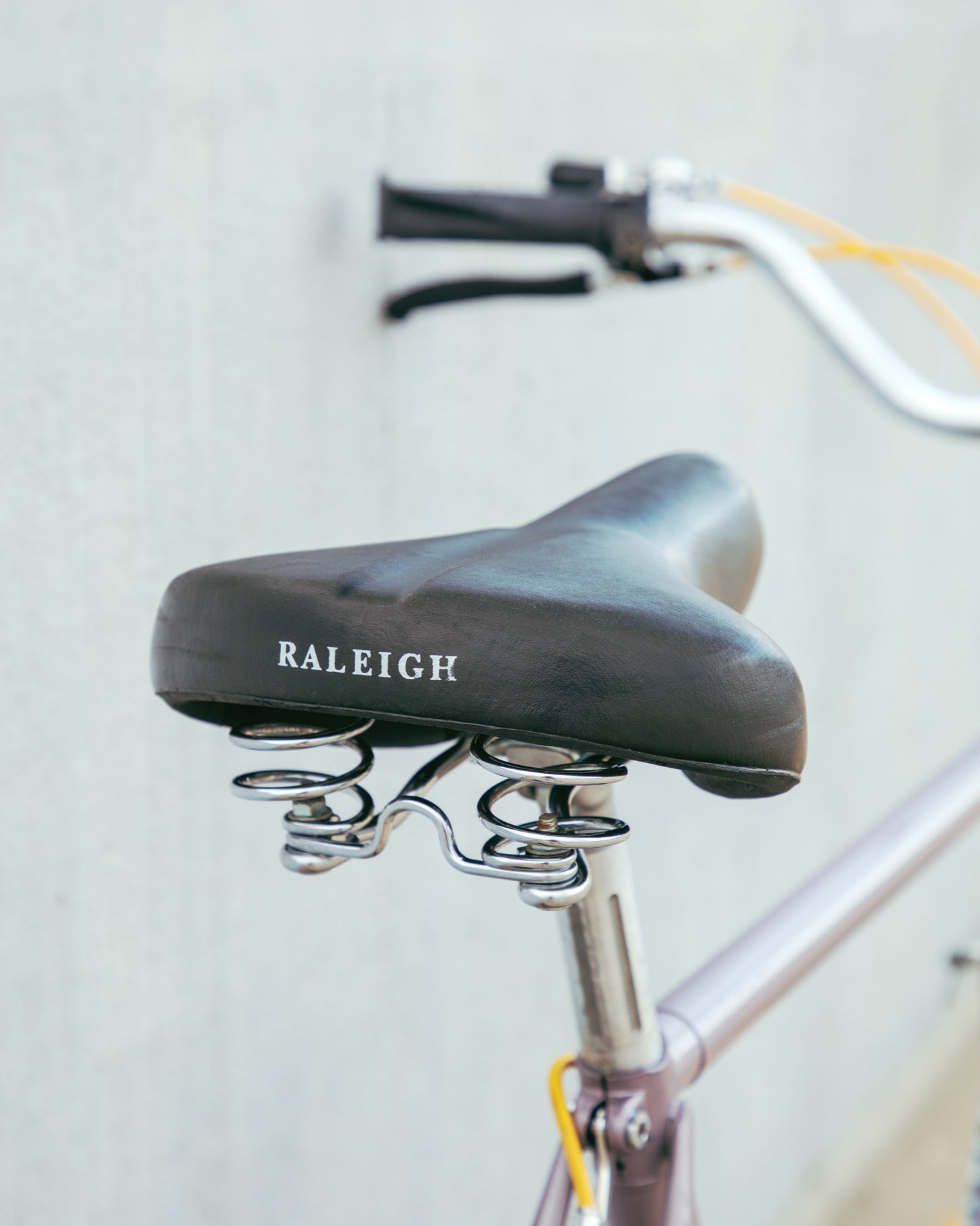 Raleigh Technium Sport