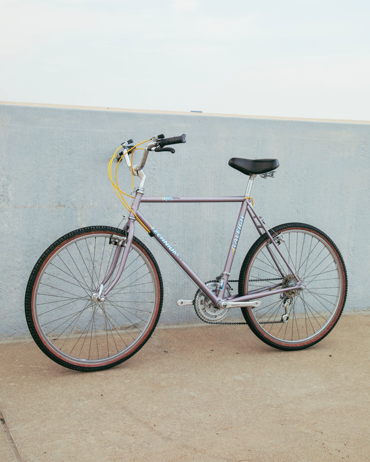 Raleigh Technium Sport