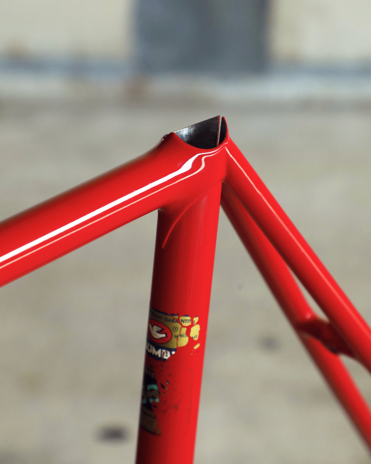 Mikkelsen Road Special