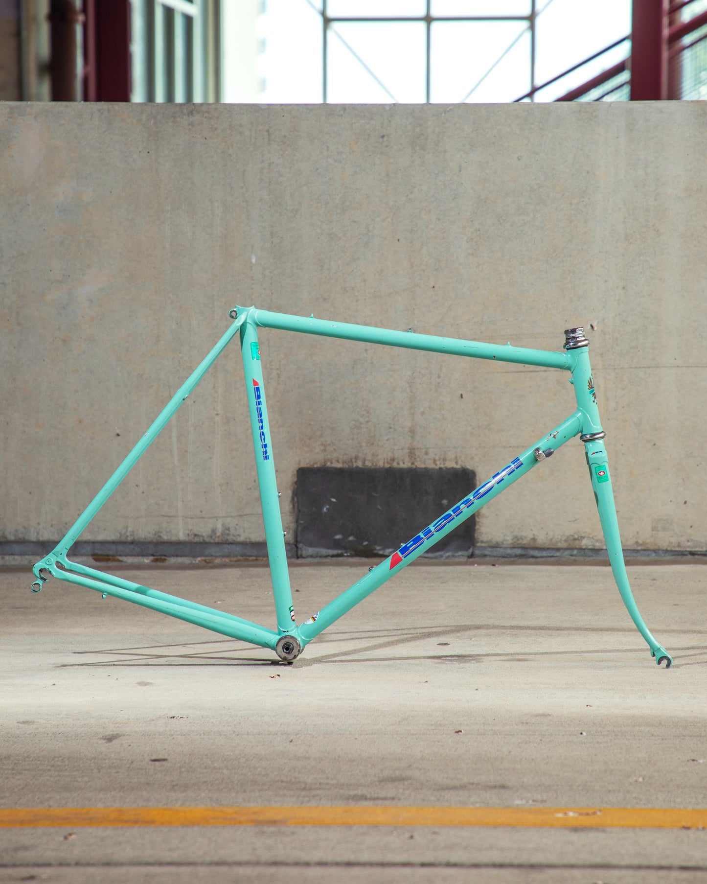 Bianchi Campione Del Mondo