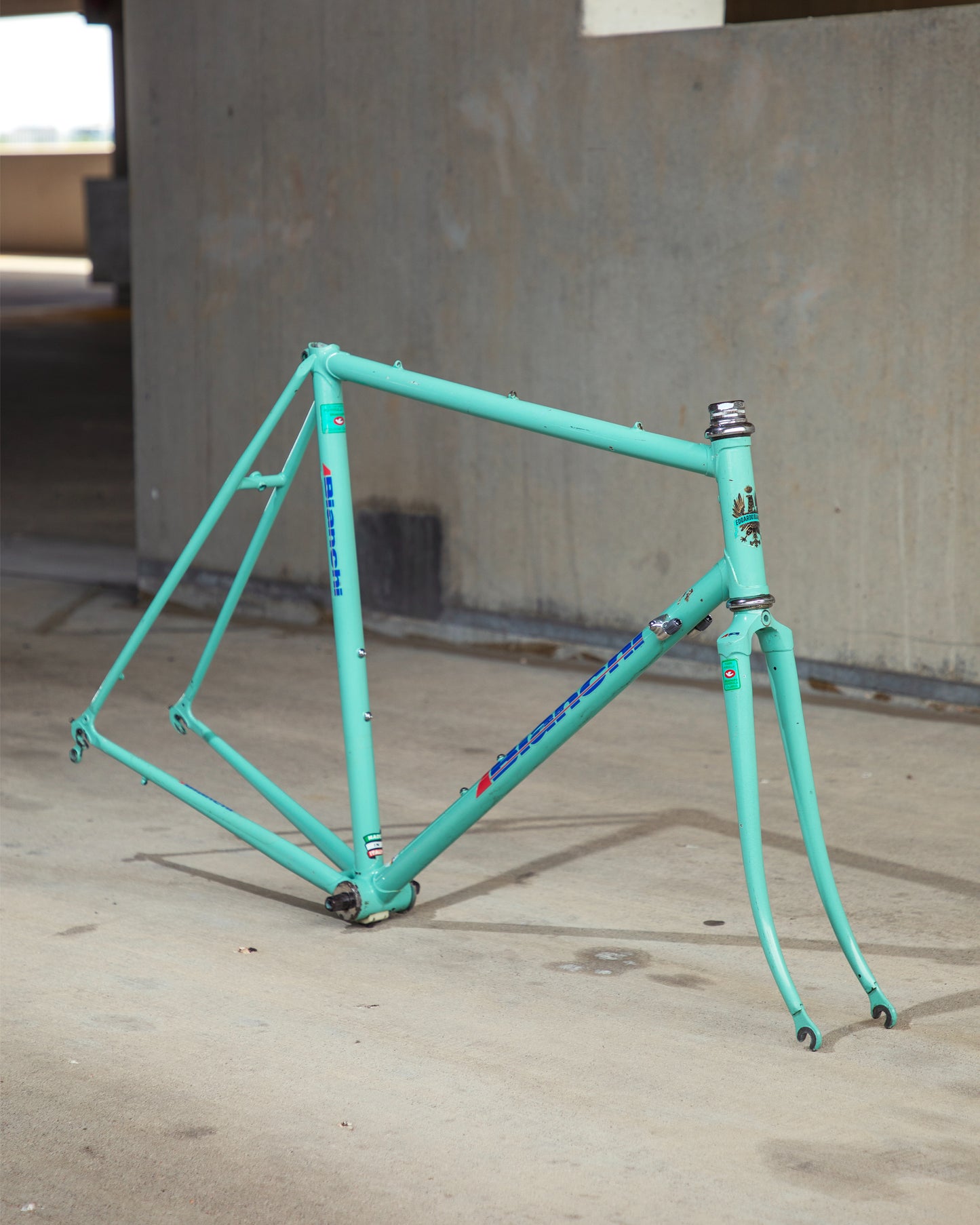 Bianchi Campione Del Mondo