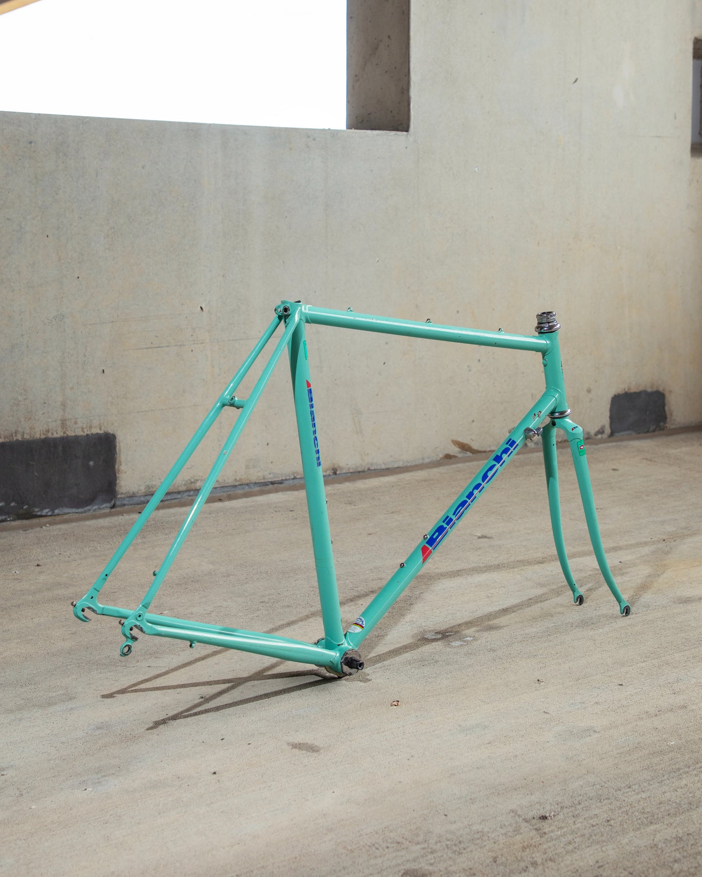 Bianchi Campione Del Mondo