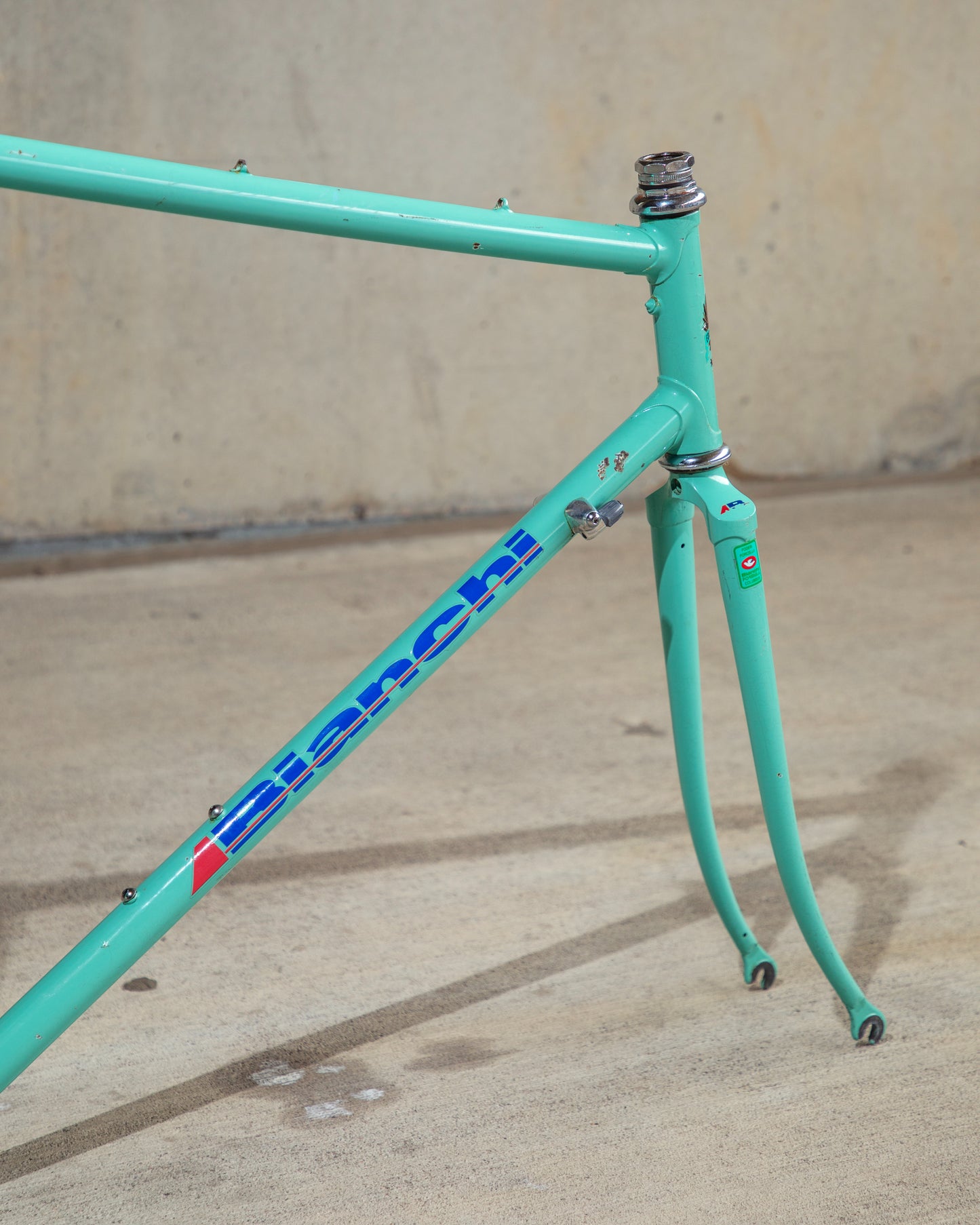 Bianchi Campione Del Mondo