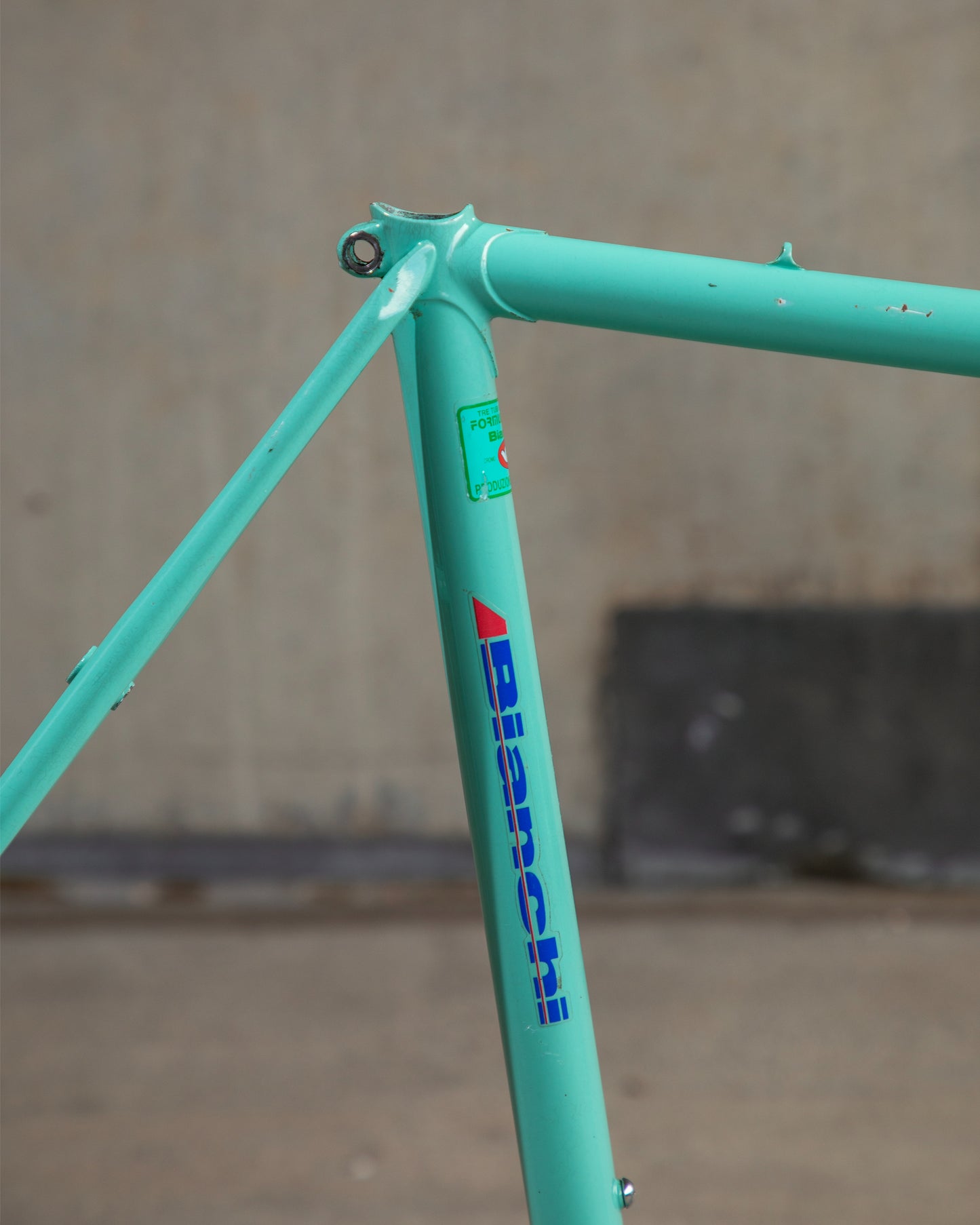 Bianchi Campione Del Mondo