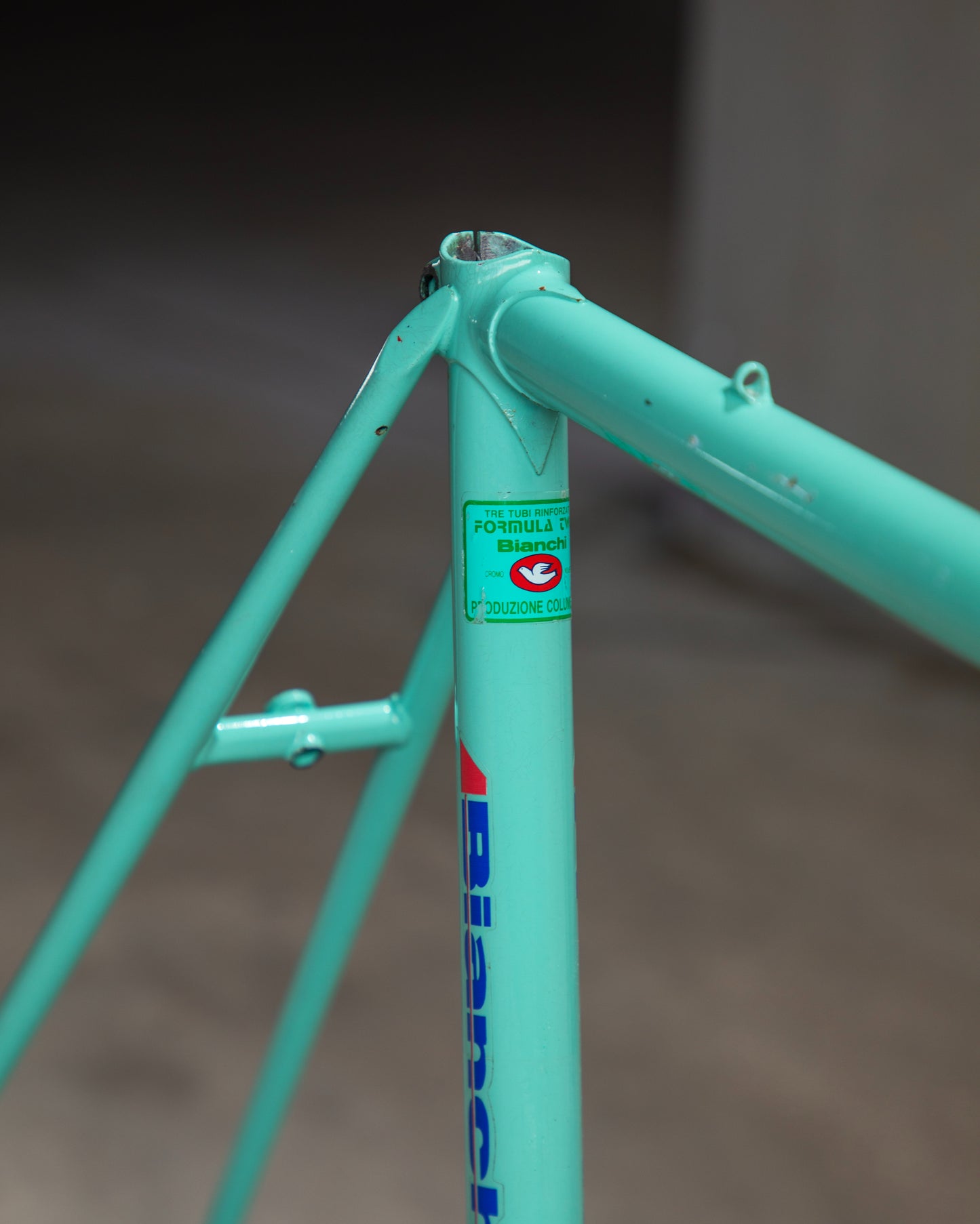 Bianchi Campione Del Mondo