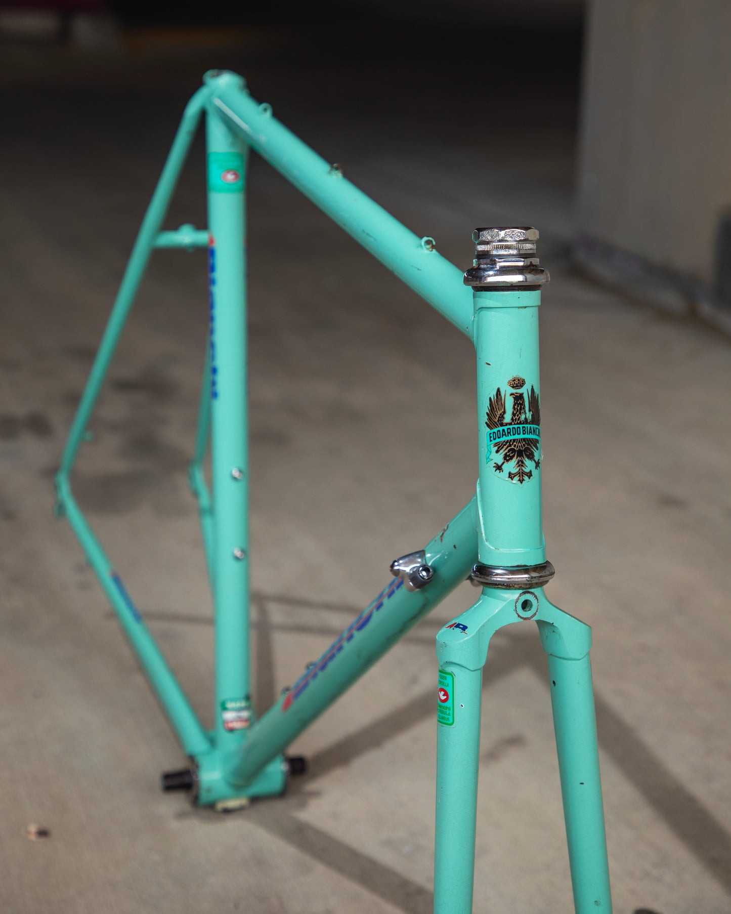 Bianchi Campione Del Mondo