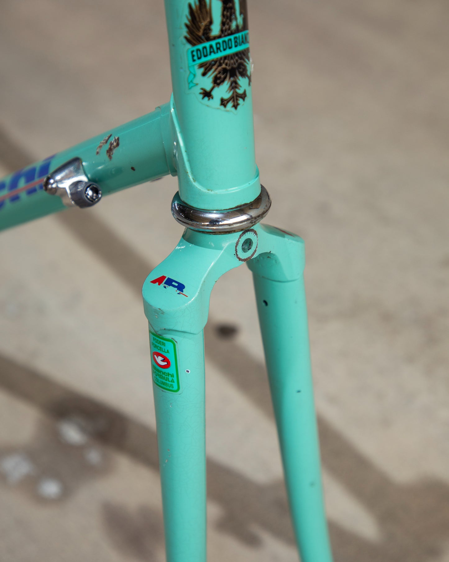 Bianchi Campione Del Mondo