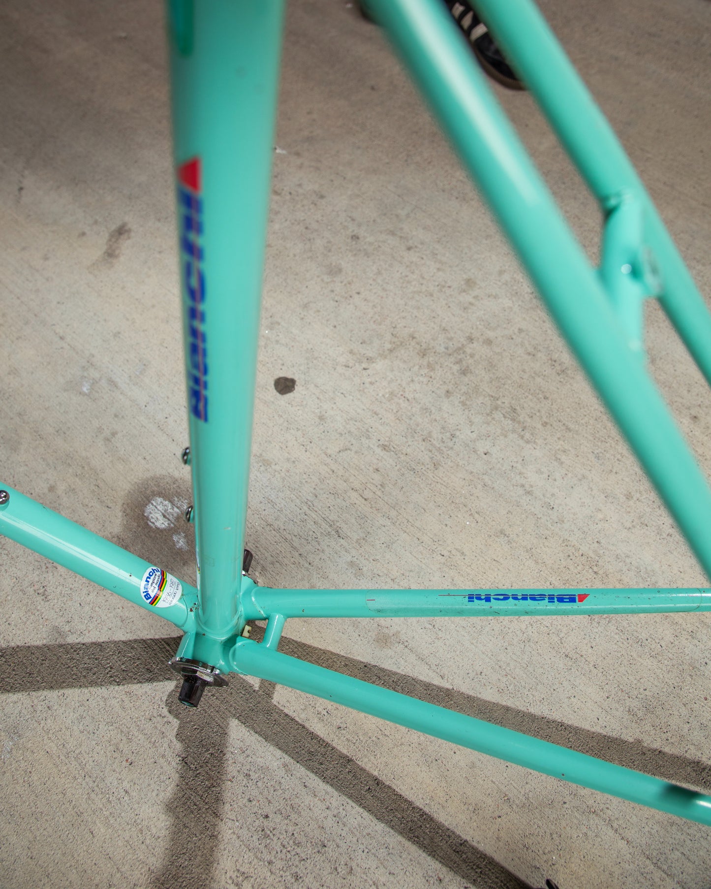 Bianchi Campione Del Mondo