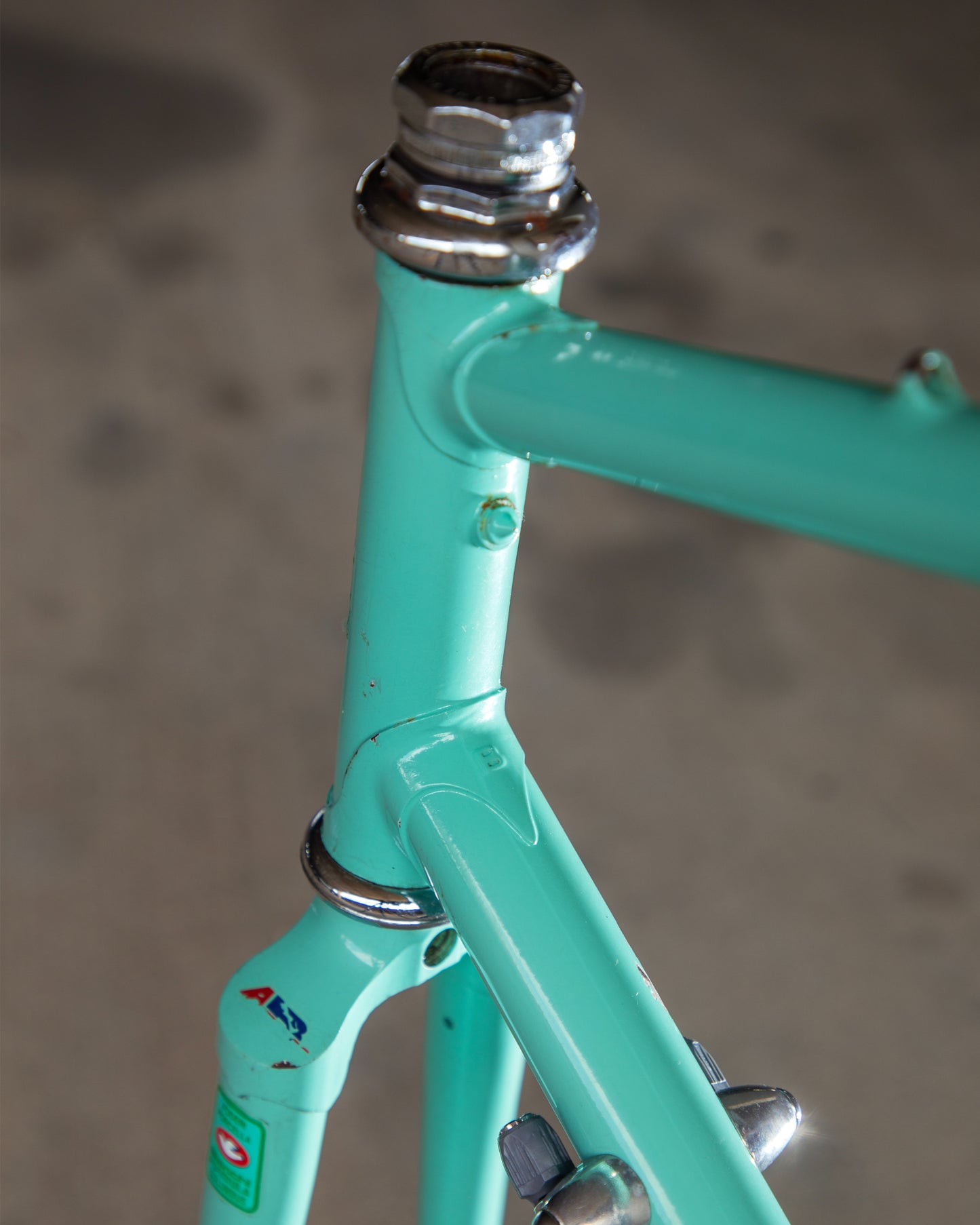 Bianchi Campione Del Mondo