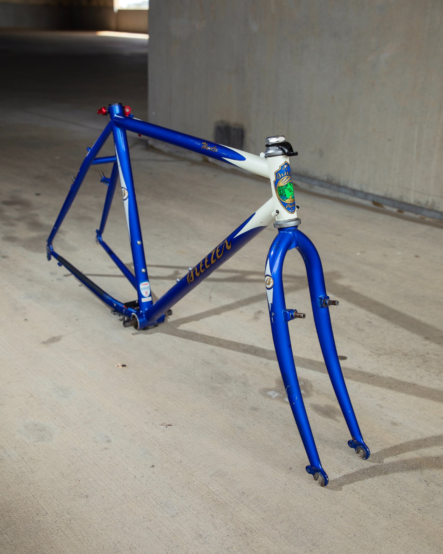 Thunder Breeze Bikes 1994 Breezer Bikes Catalog: Lightning