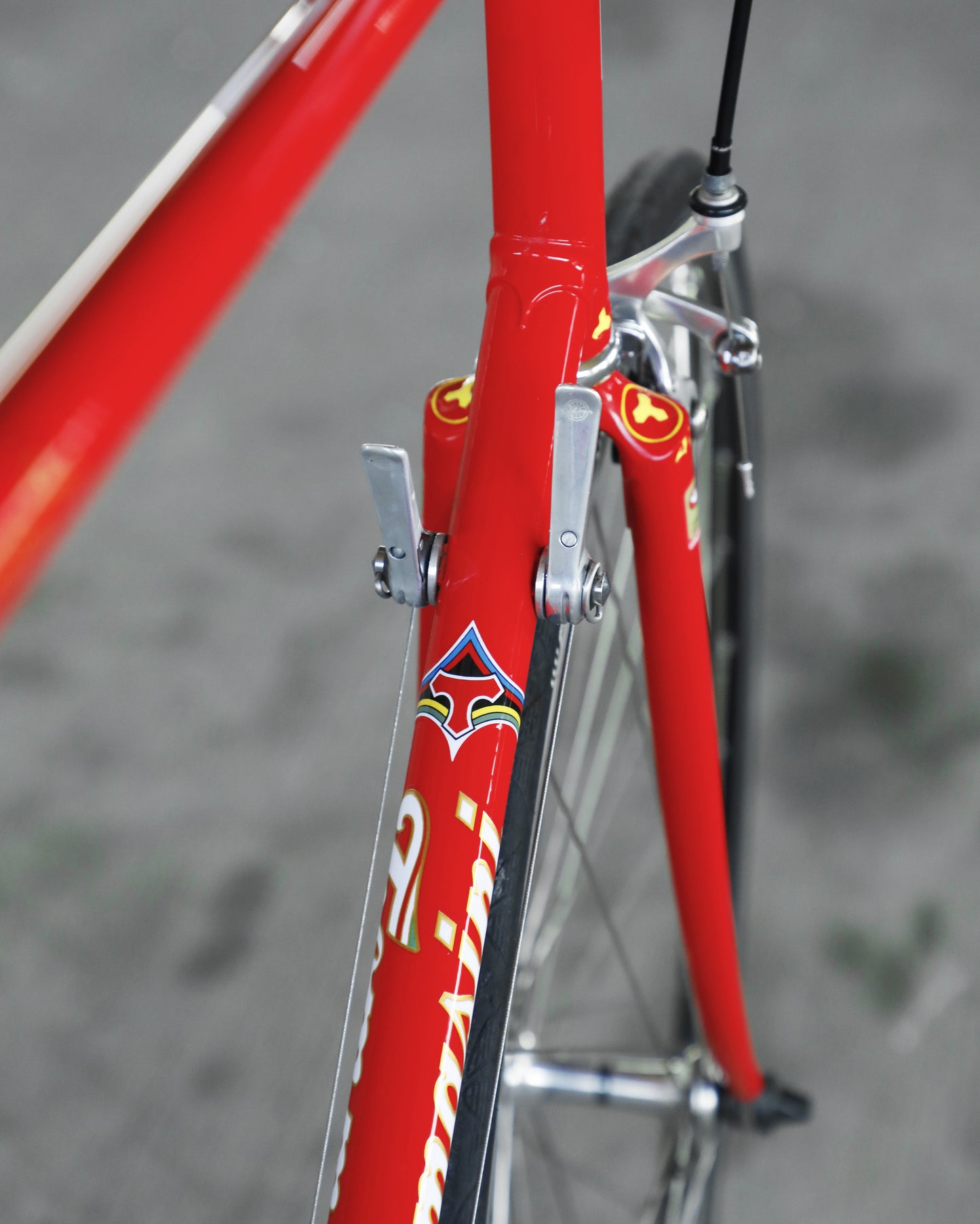 Tommasini Super Prestige