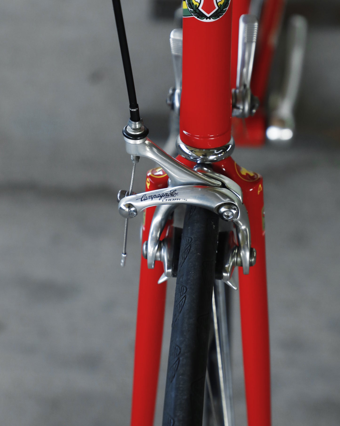Tommasini Super Prestige