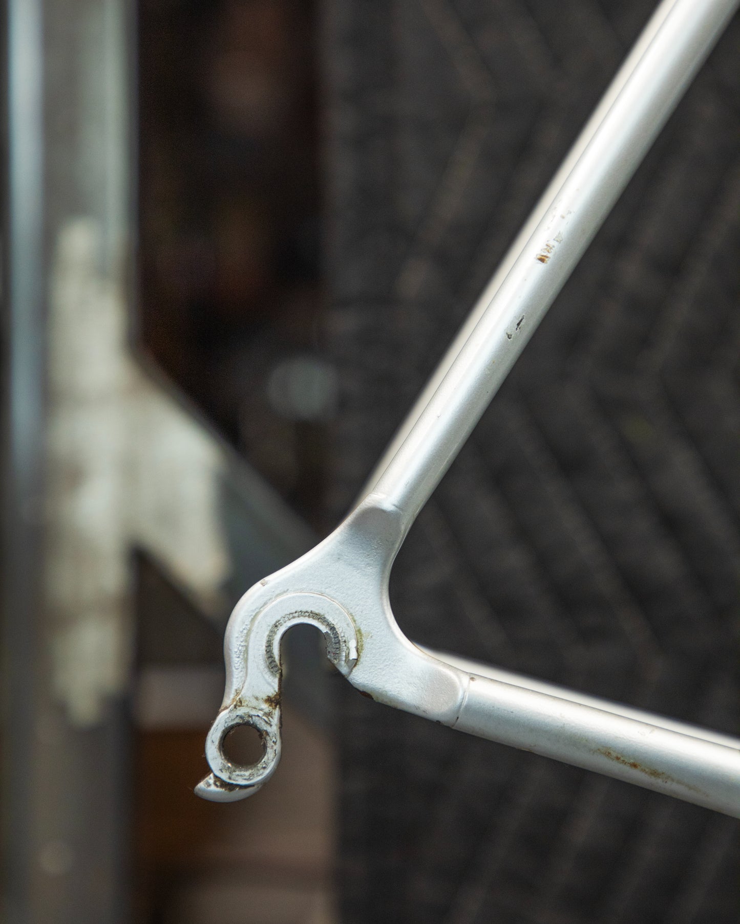 Raleigh Reynolds 753