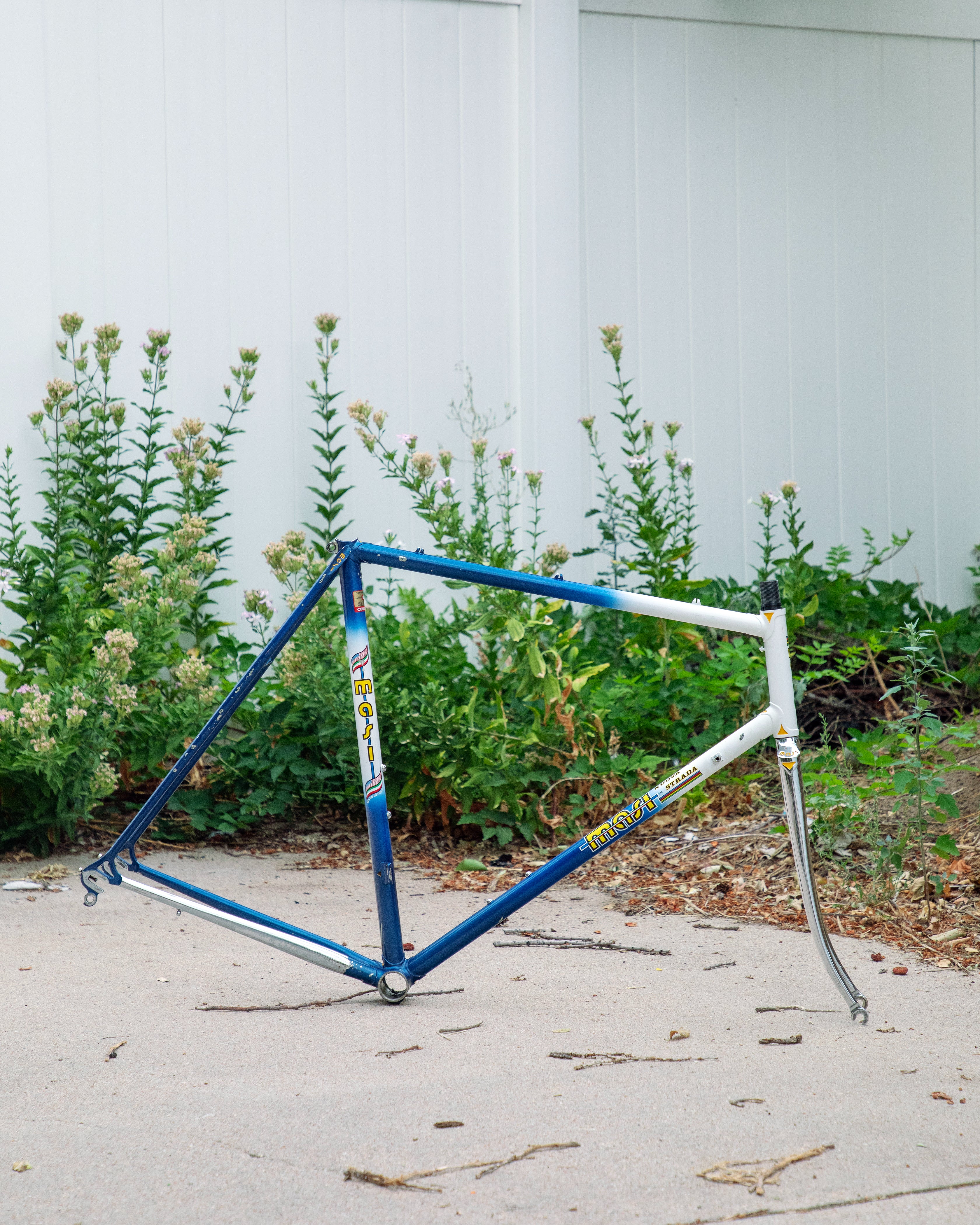 Masi Nuovo Strada – Ben's Cycles Denver