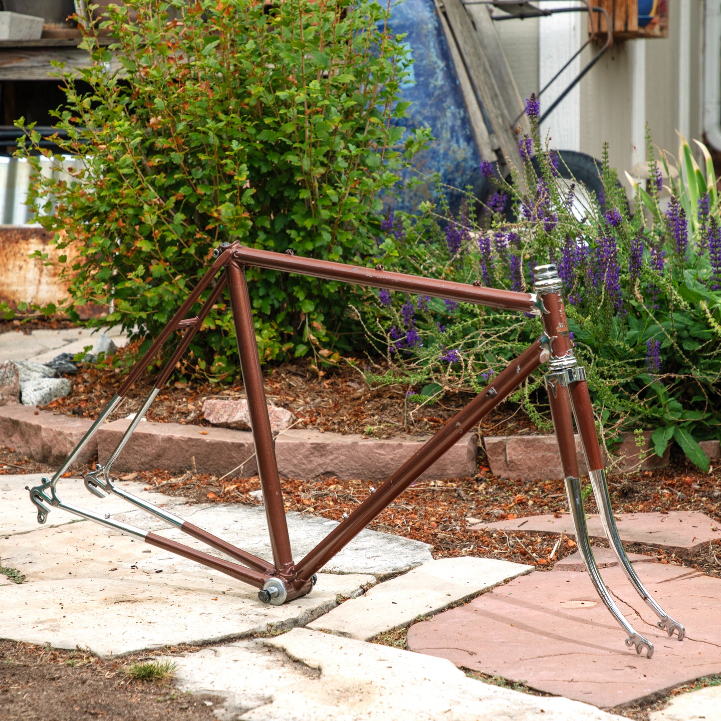 Raleigh International