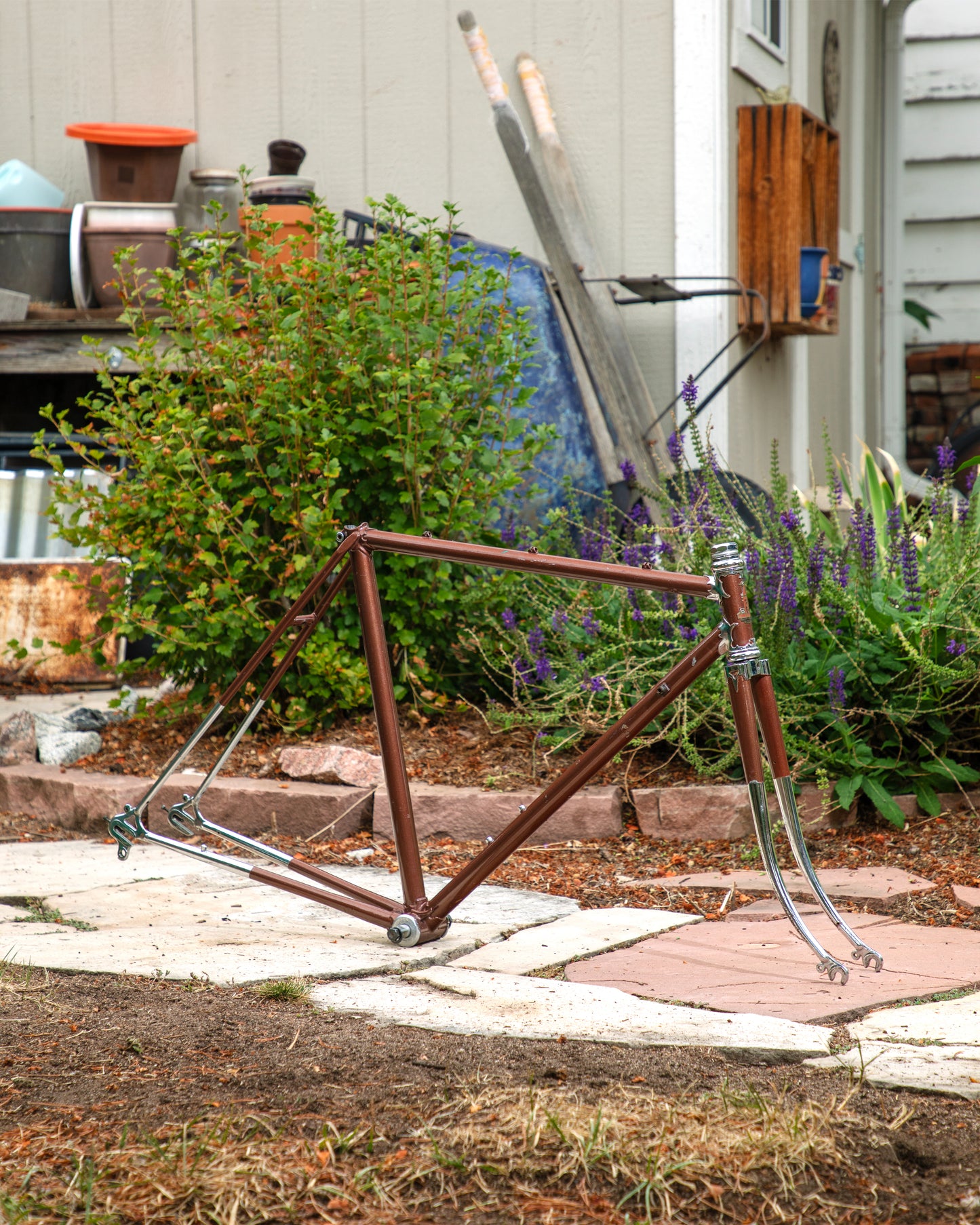 Raleigh International