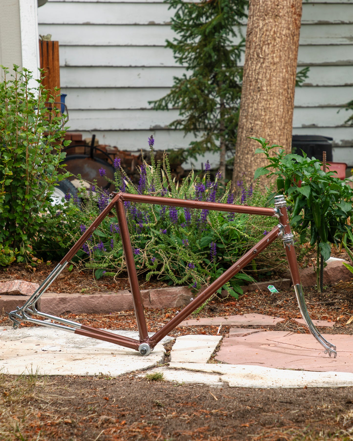 Raleigh International