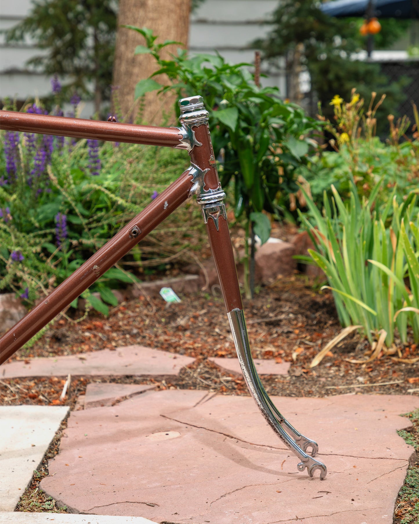 Raleigh International