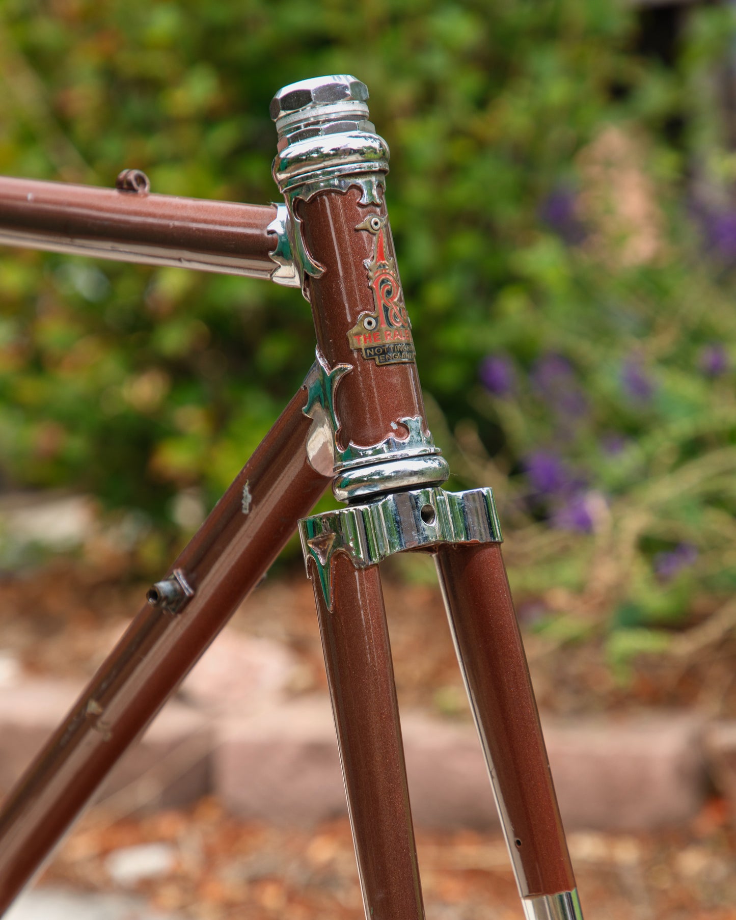 Raleigh International