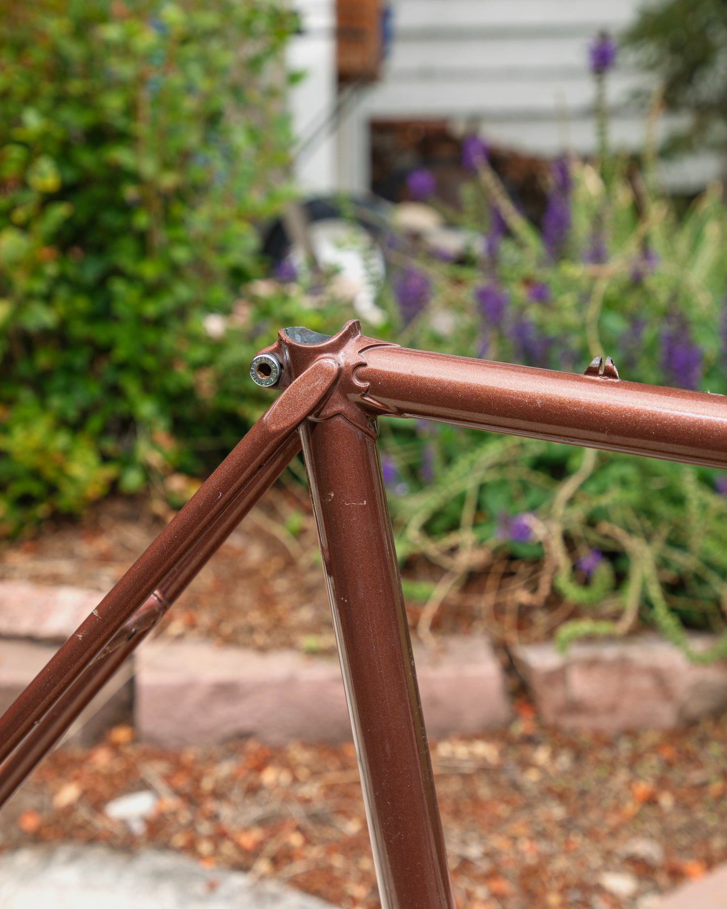 Raleigh International