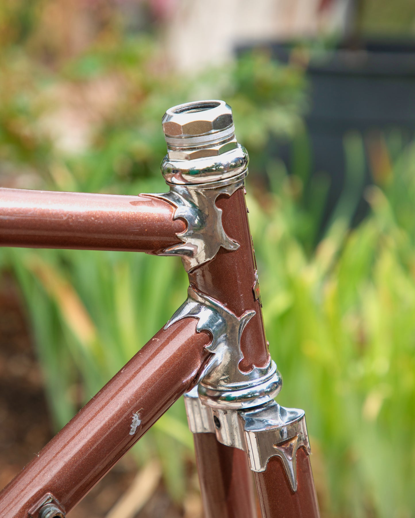 Raleigh International