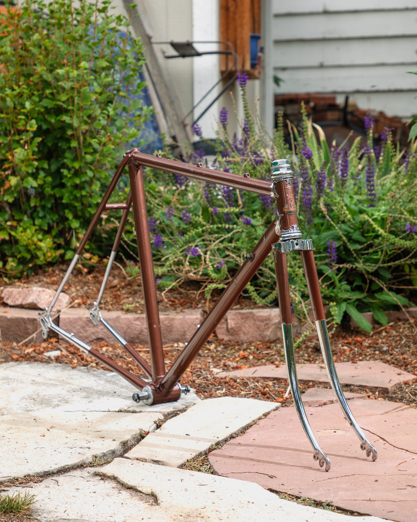 Raleigh International