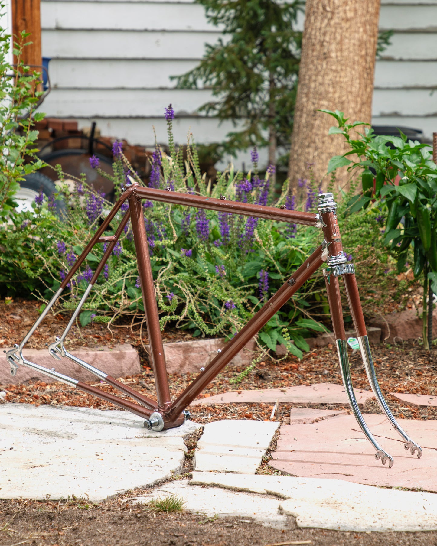 Raleigh International