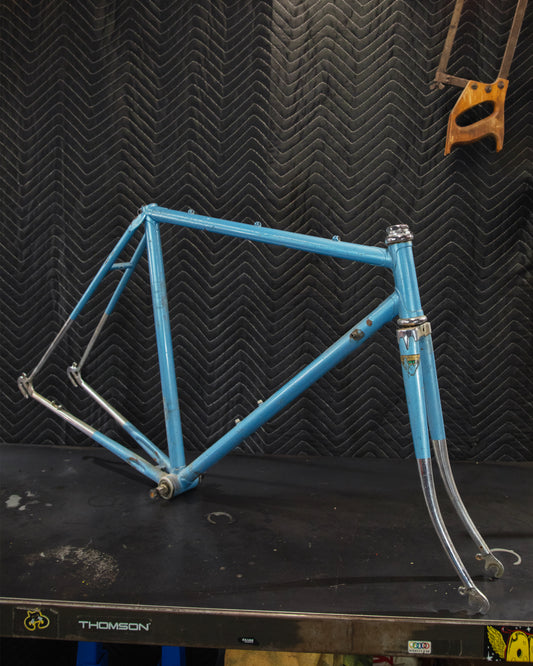 Juliette Reynolds 531