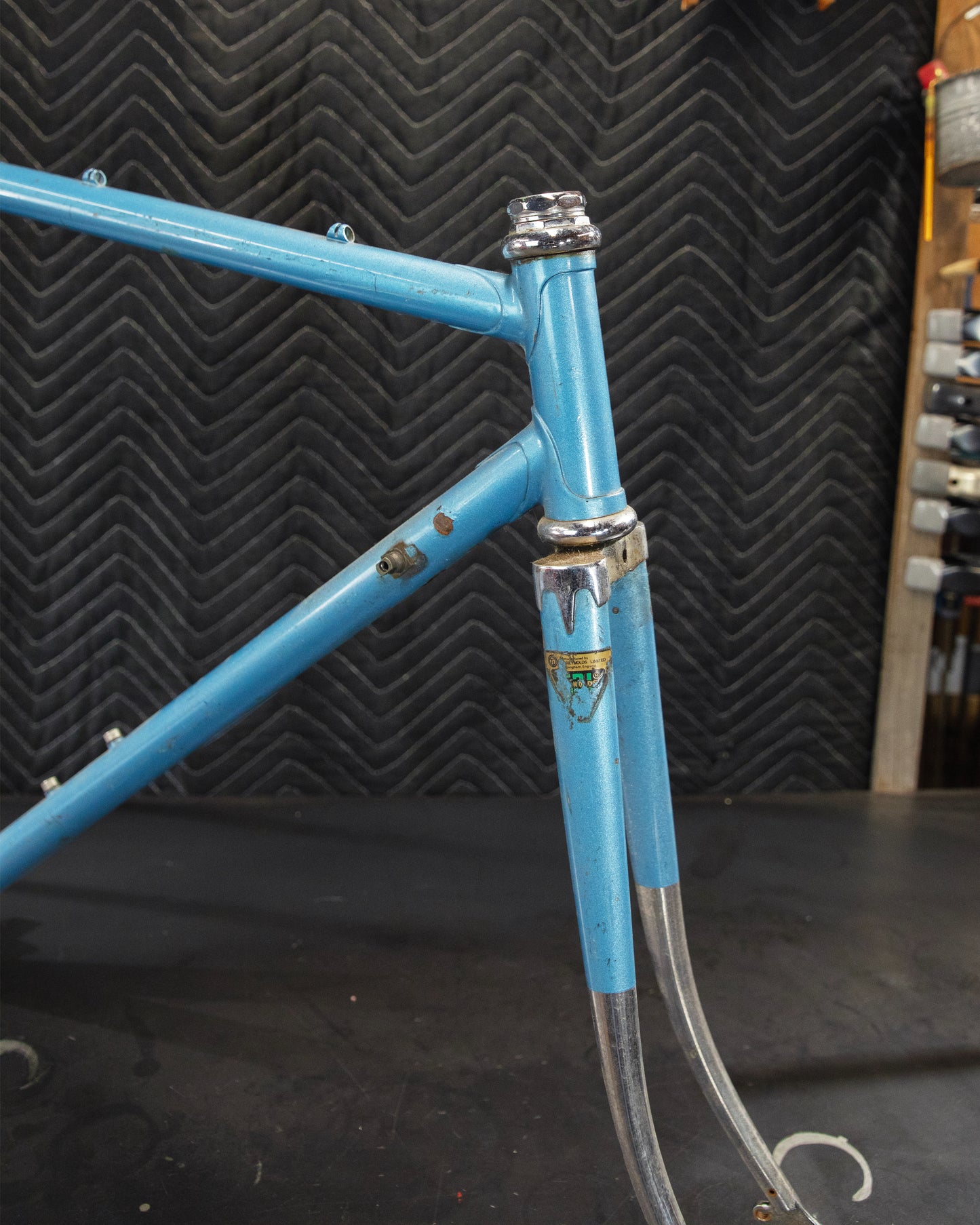 Juliette Reynolds 531