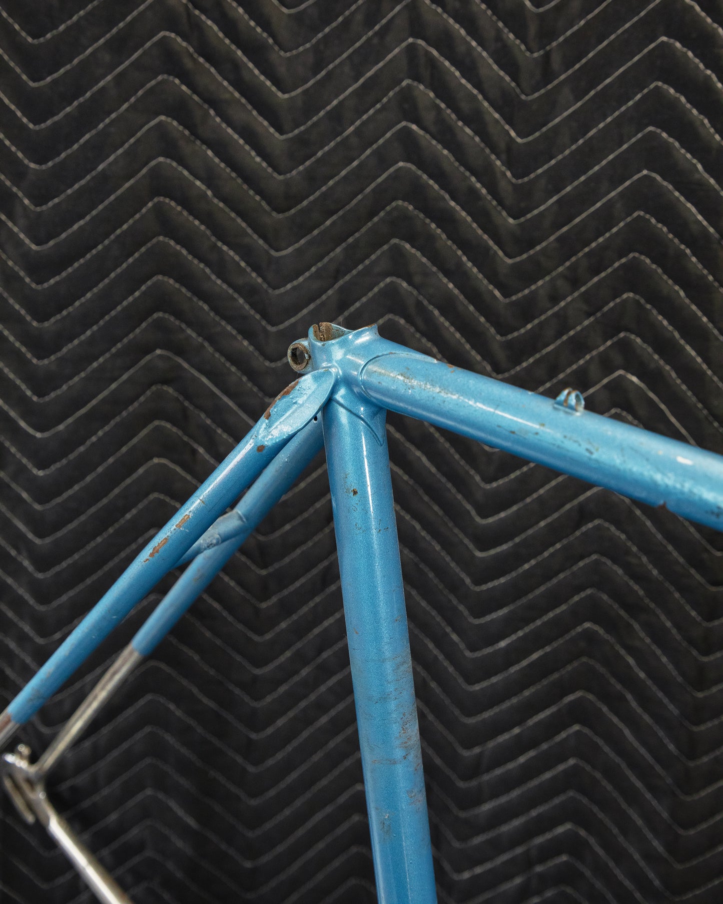 Juliette Reynolds 531