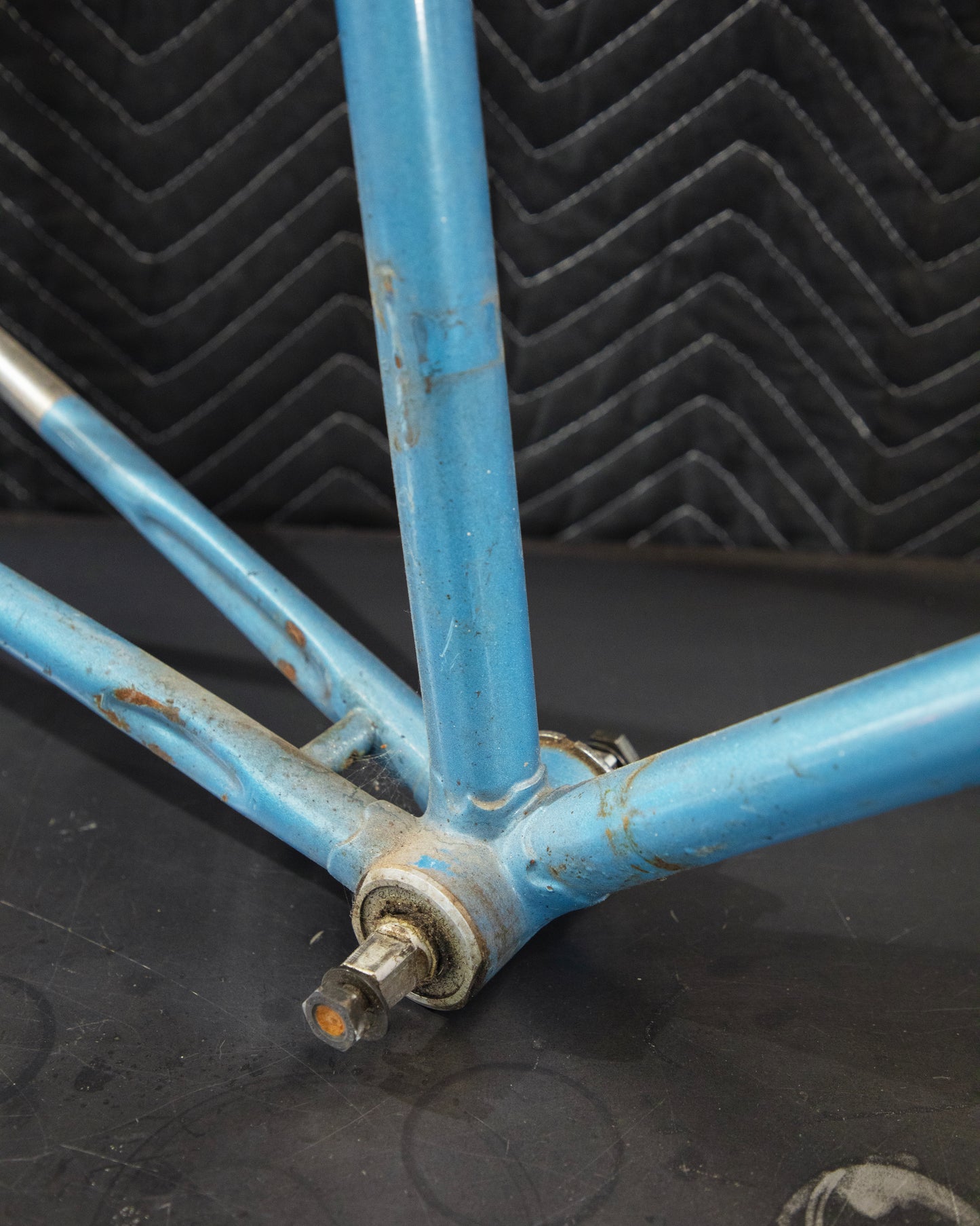 Juliette Reynolds 531