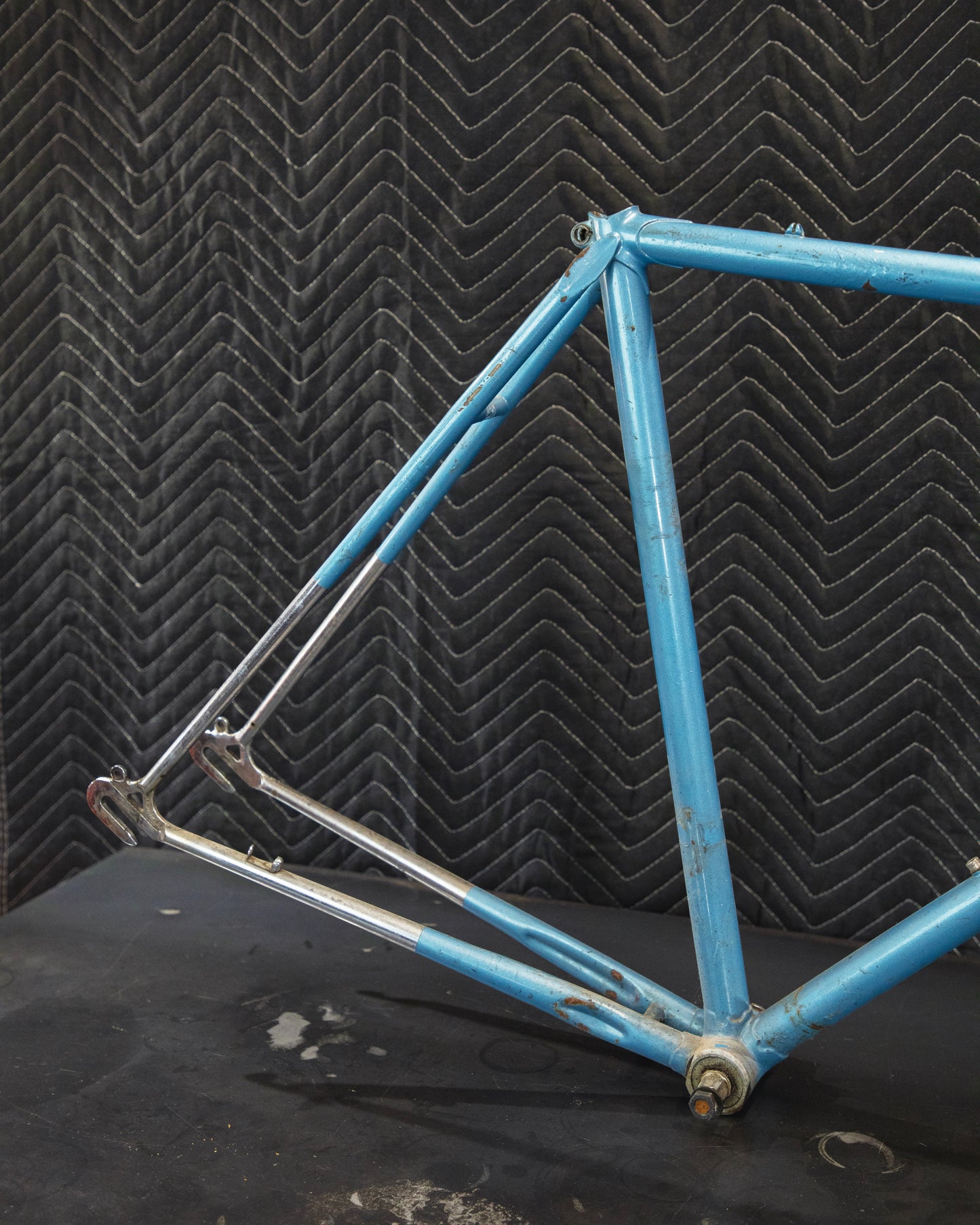 Juliette Reynolds 531