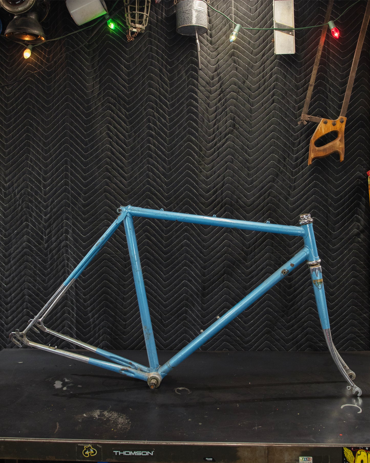 Juliette Reynolds 531