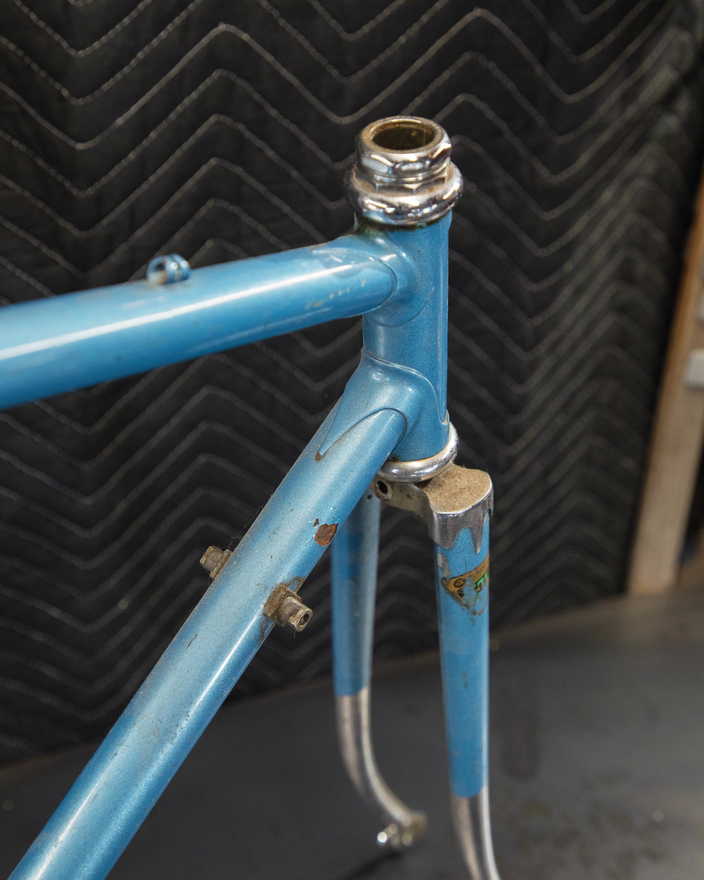 Juliette Reynolds 531