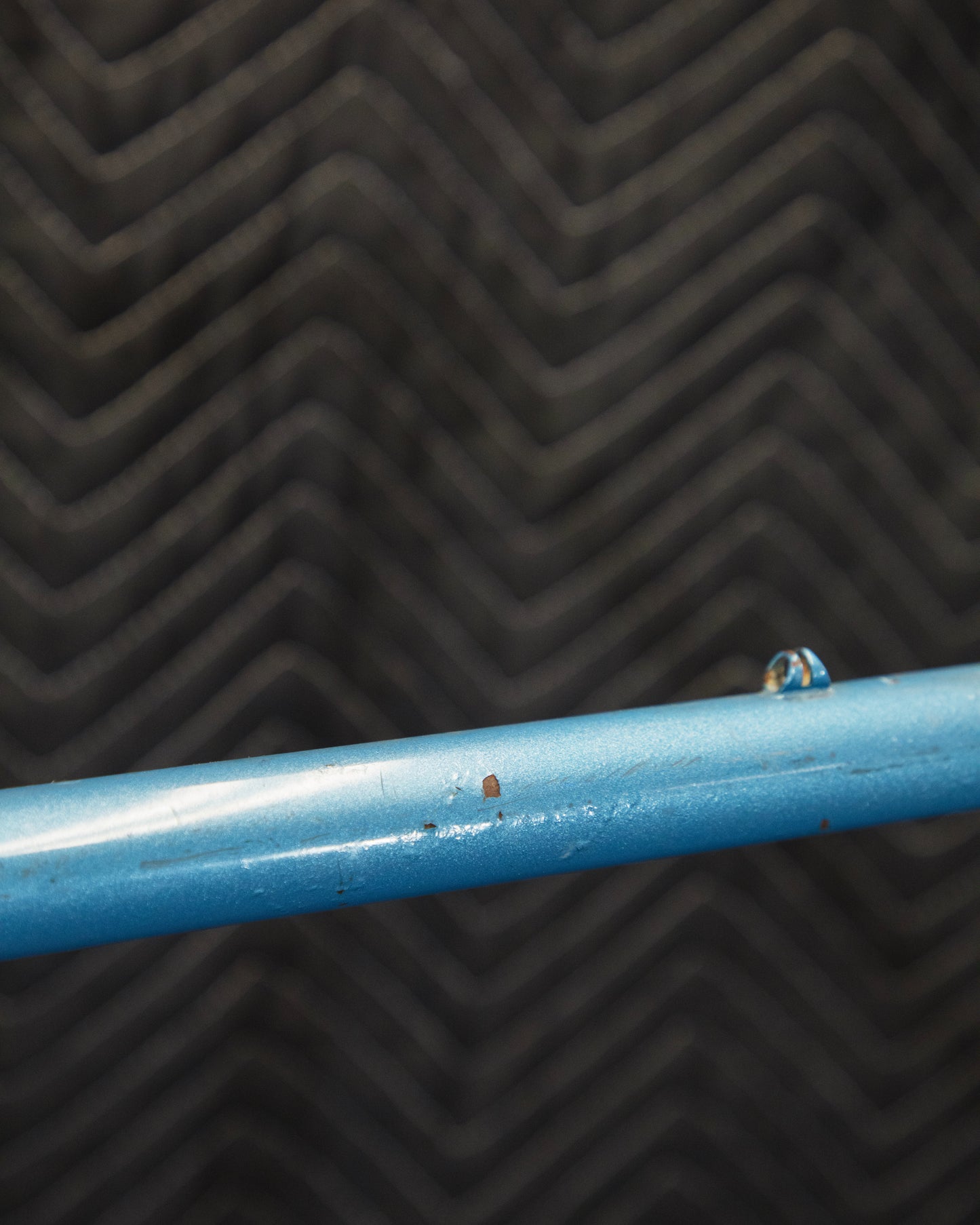 Juliette Reynolds 531