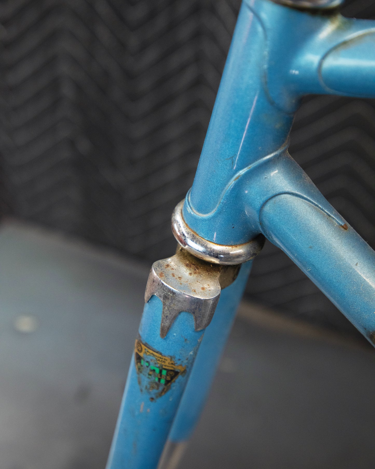 Juliette Reynolds 531